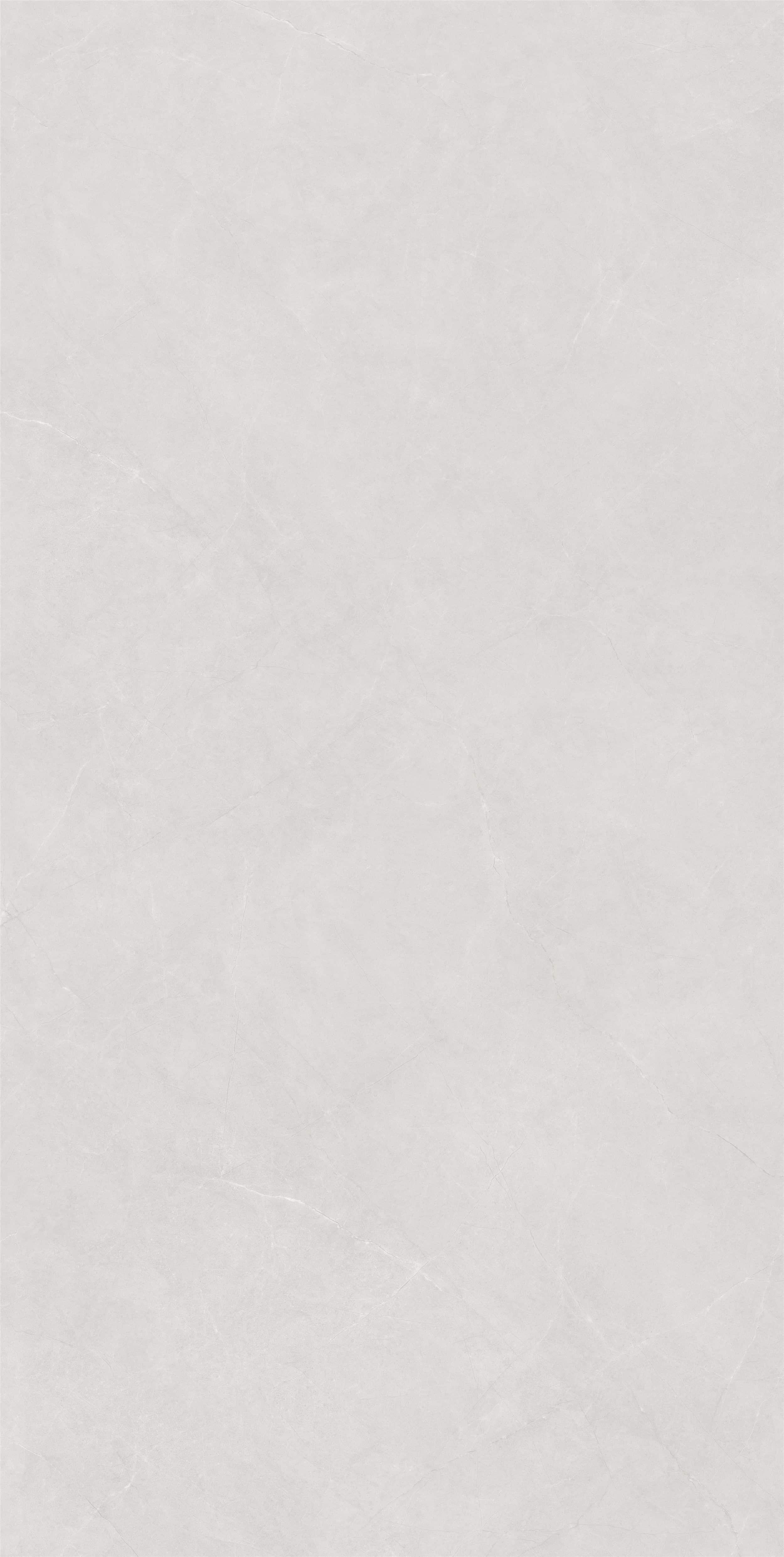 FVC18905_01
