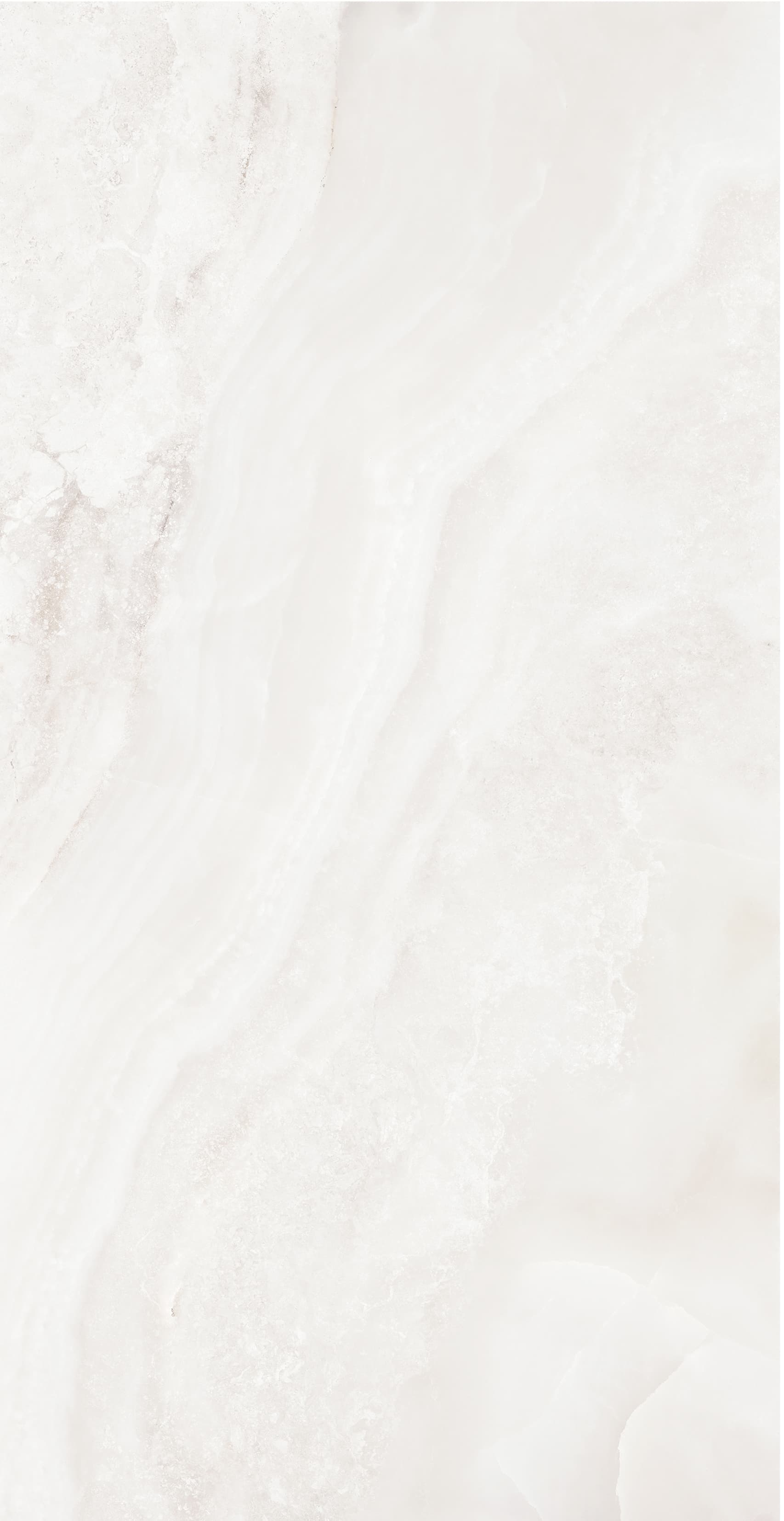 FVJ18906