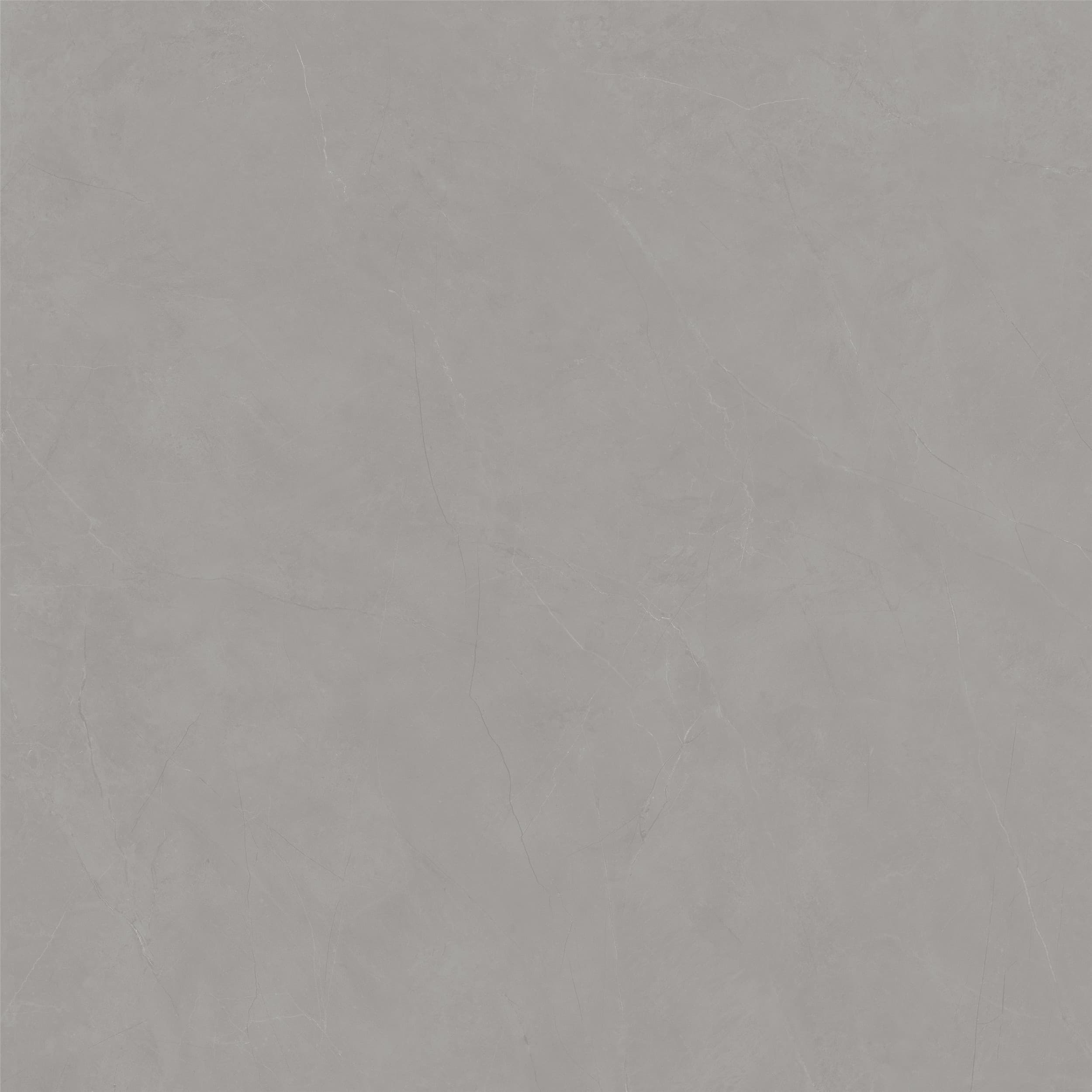 HPJ8006_01
