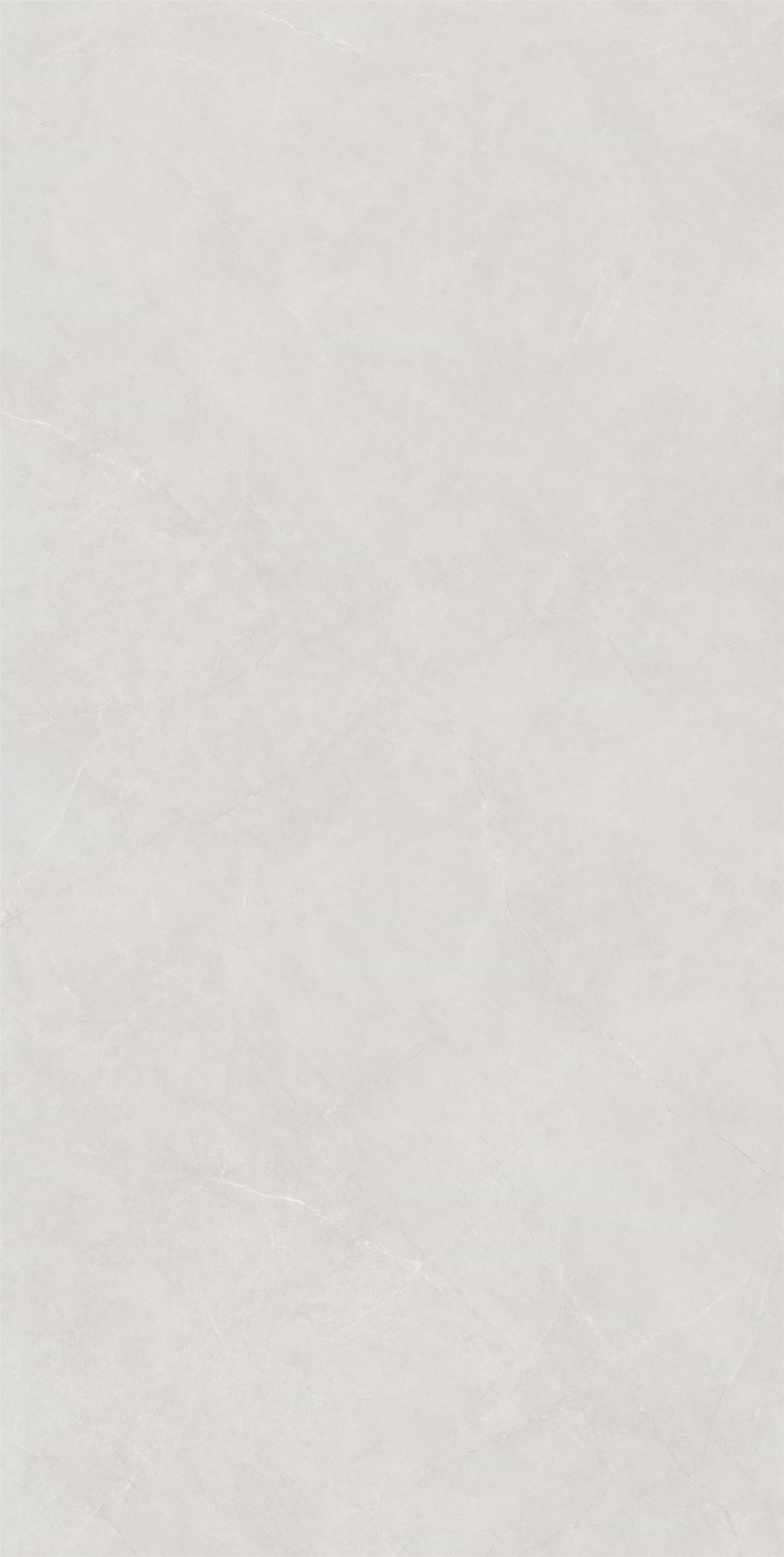 FVC18905_01