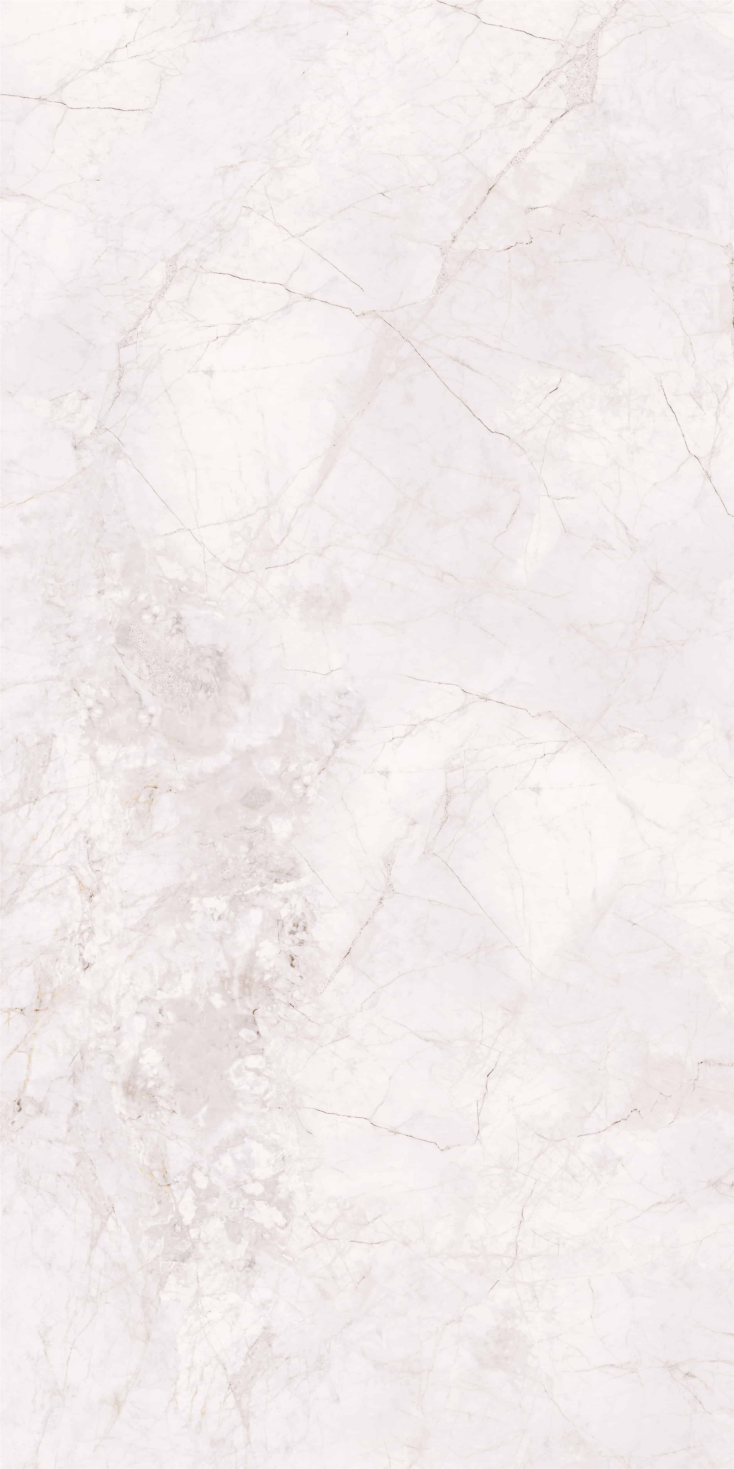 FVC18908_03