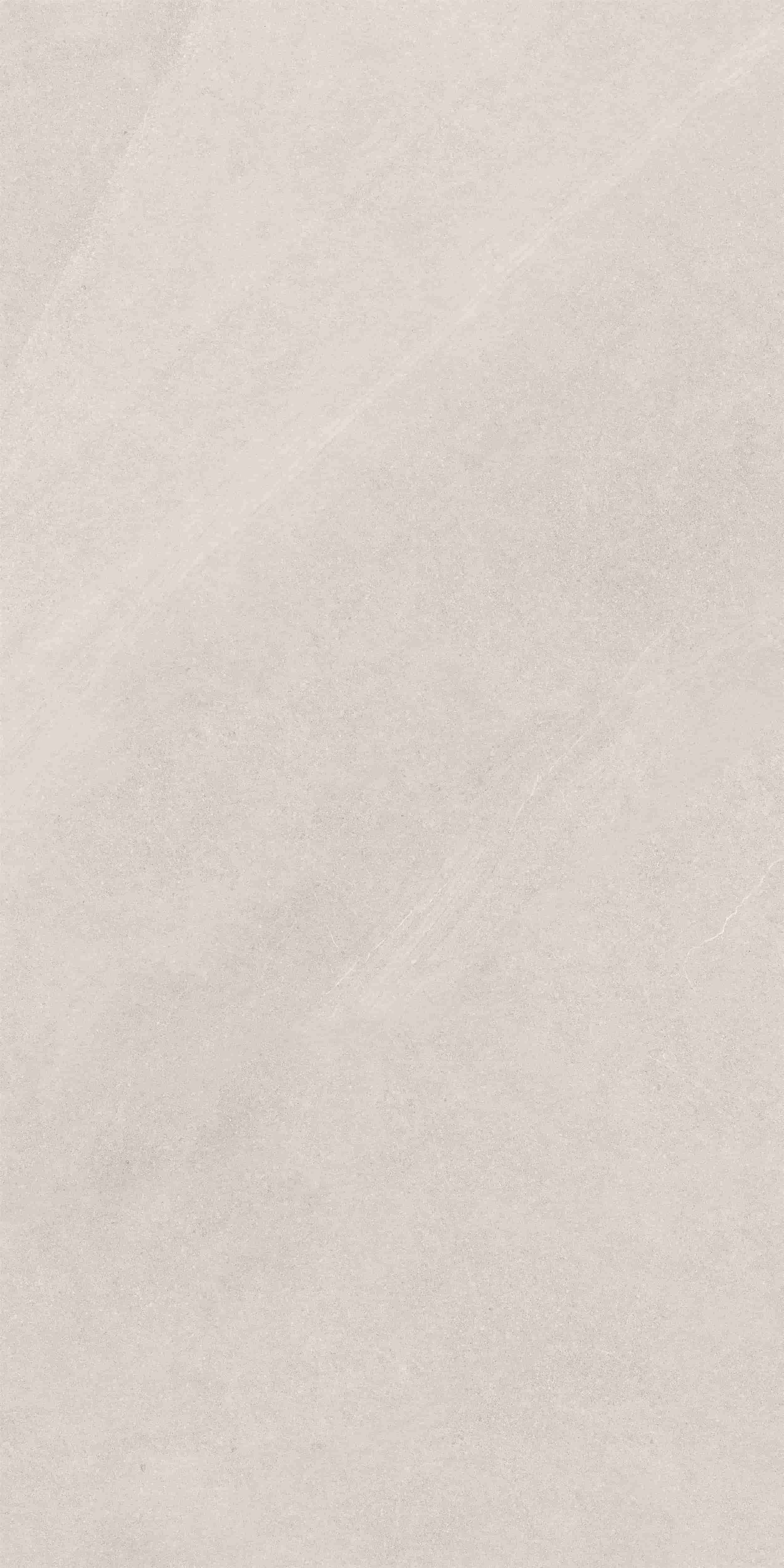 FVC18913_02