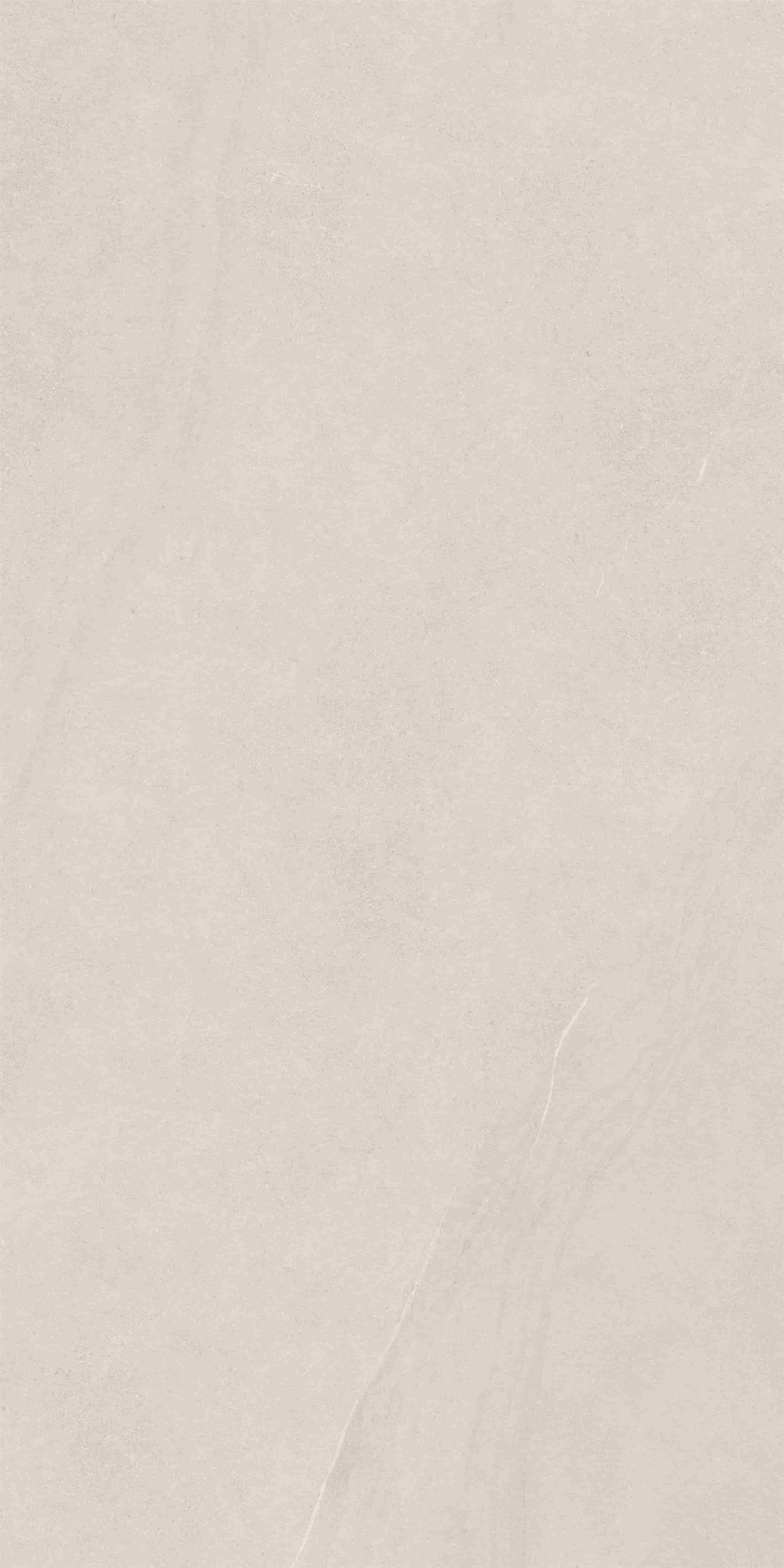FVC18913_03