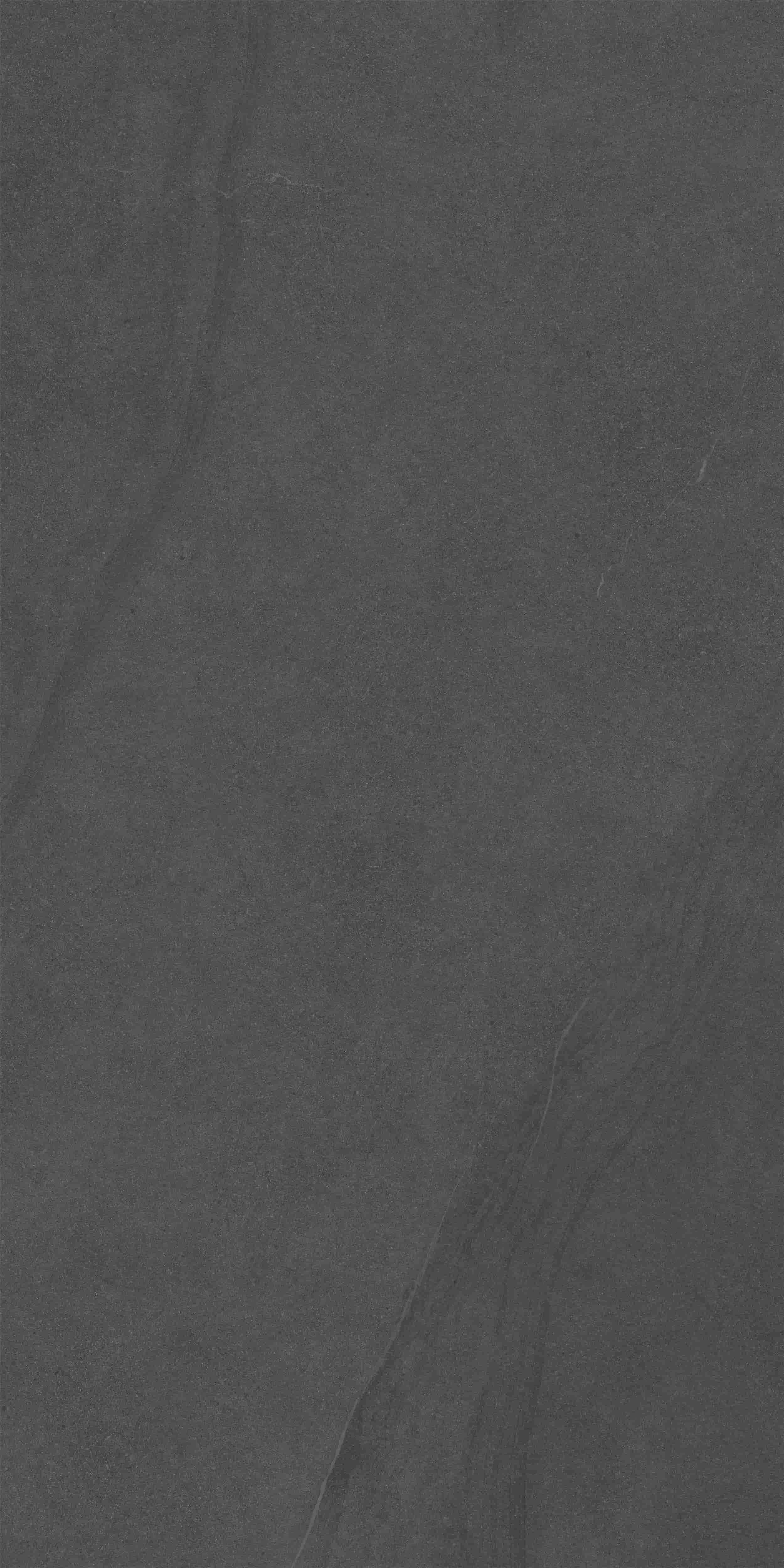 FVC18916_03