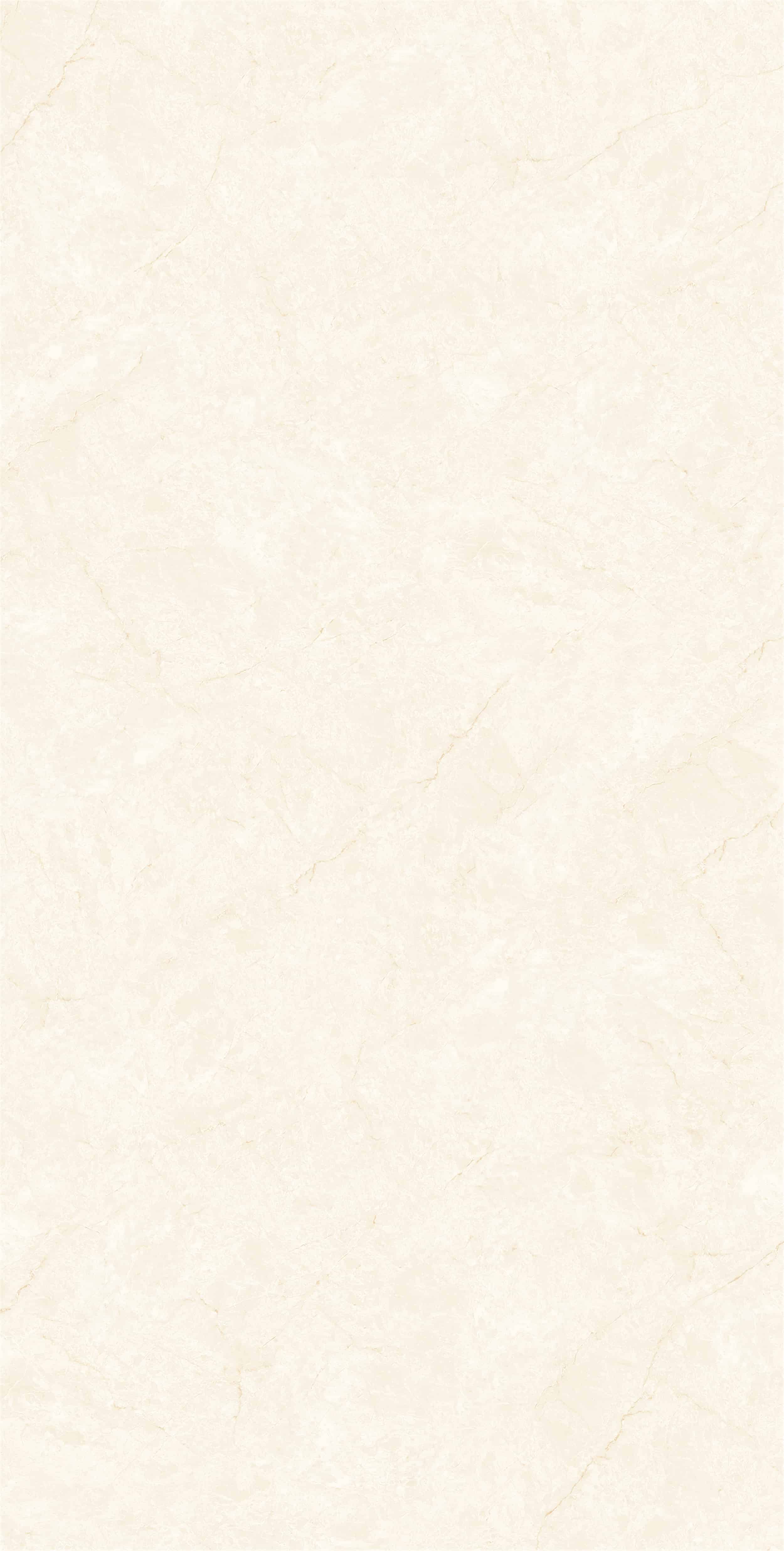 ZM157506_01
