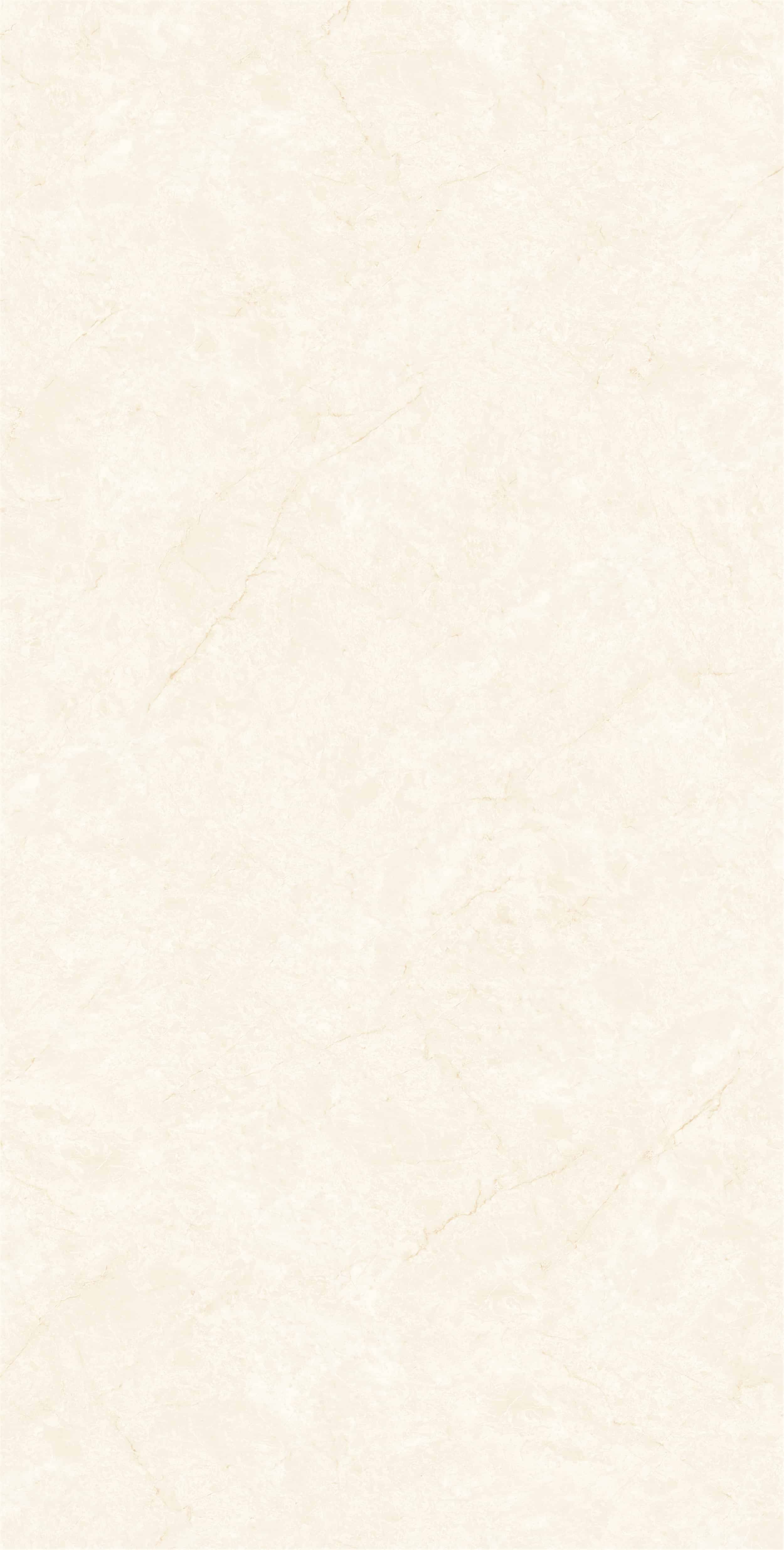 ZM157506_02