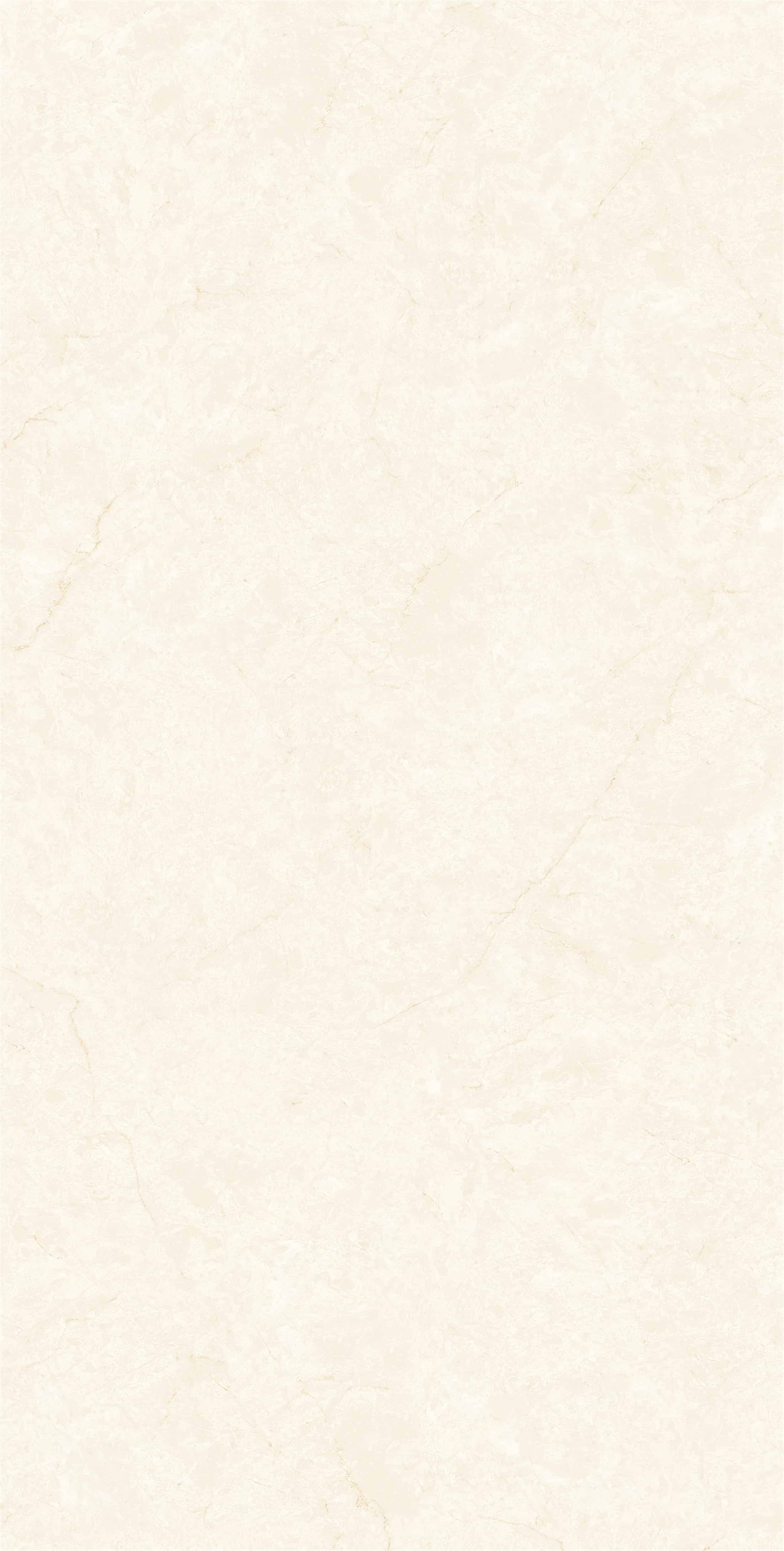 ZM157506_04