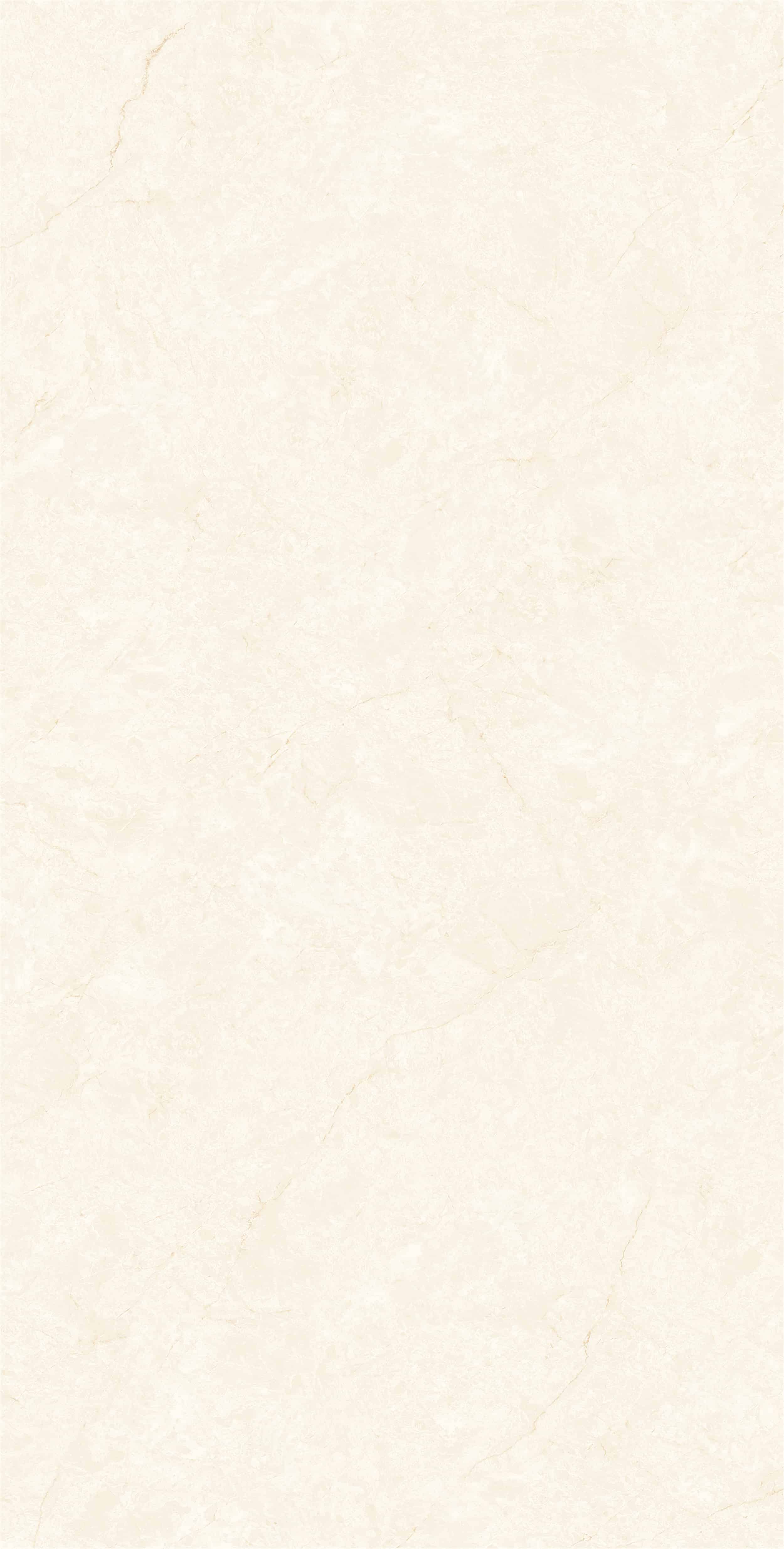 ZM157506_05