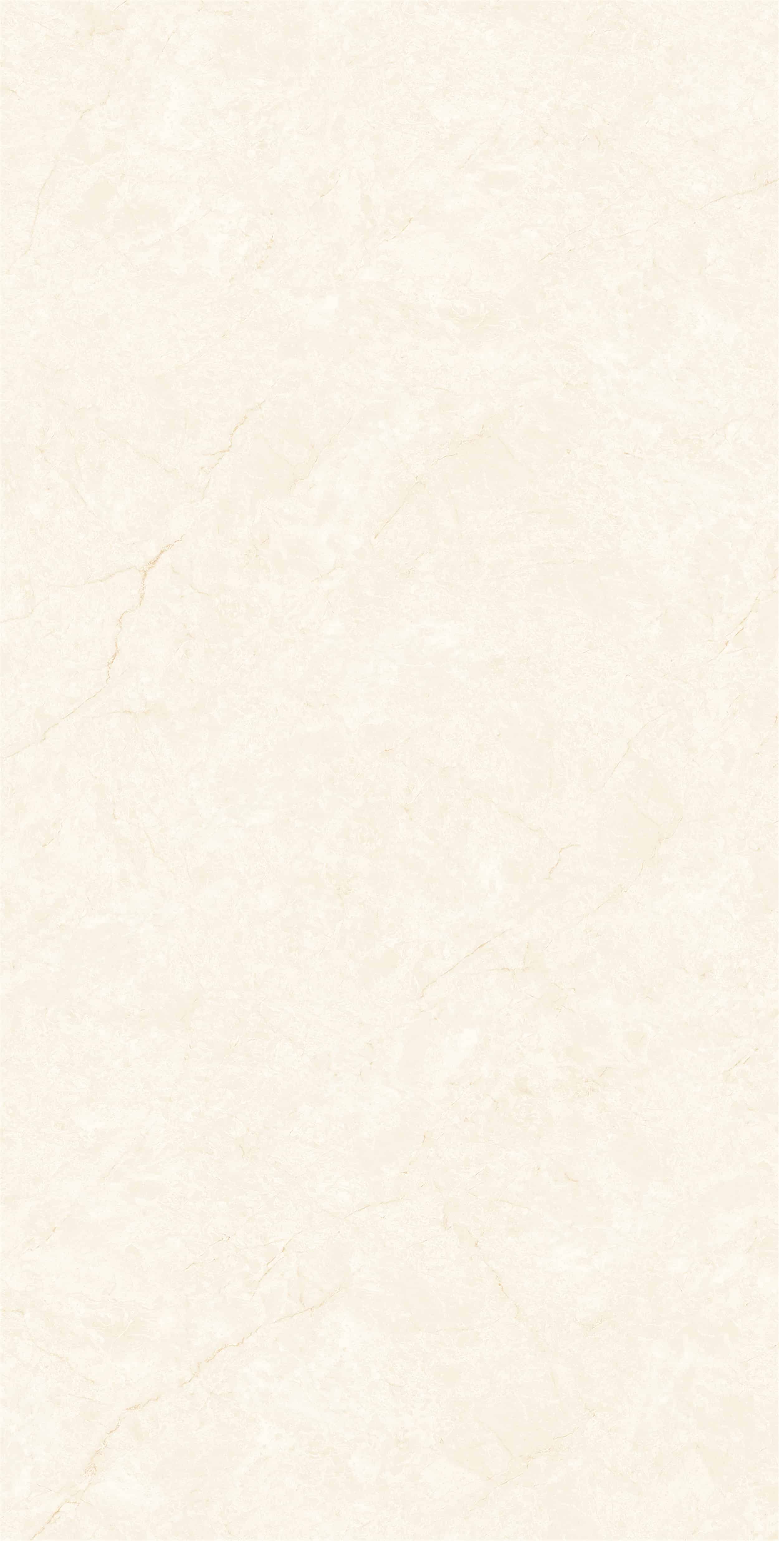 ZM157506_03
