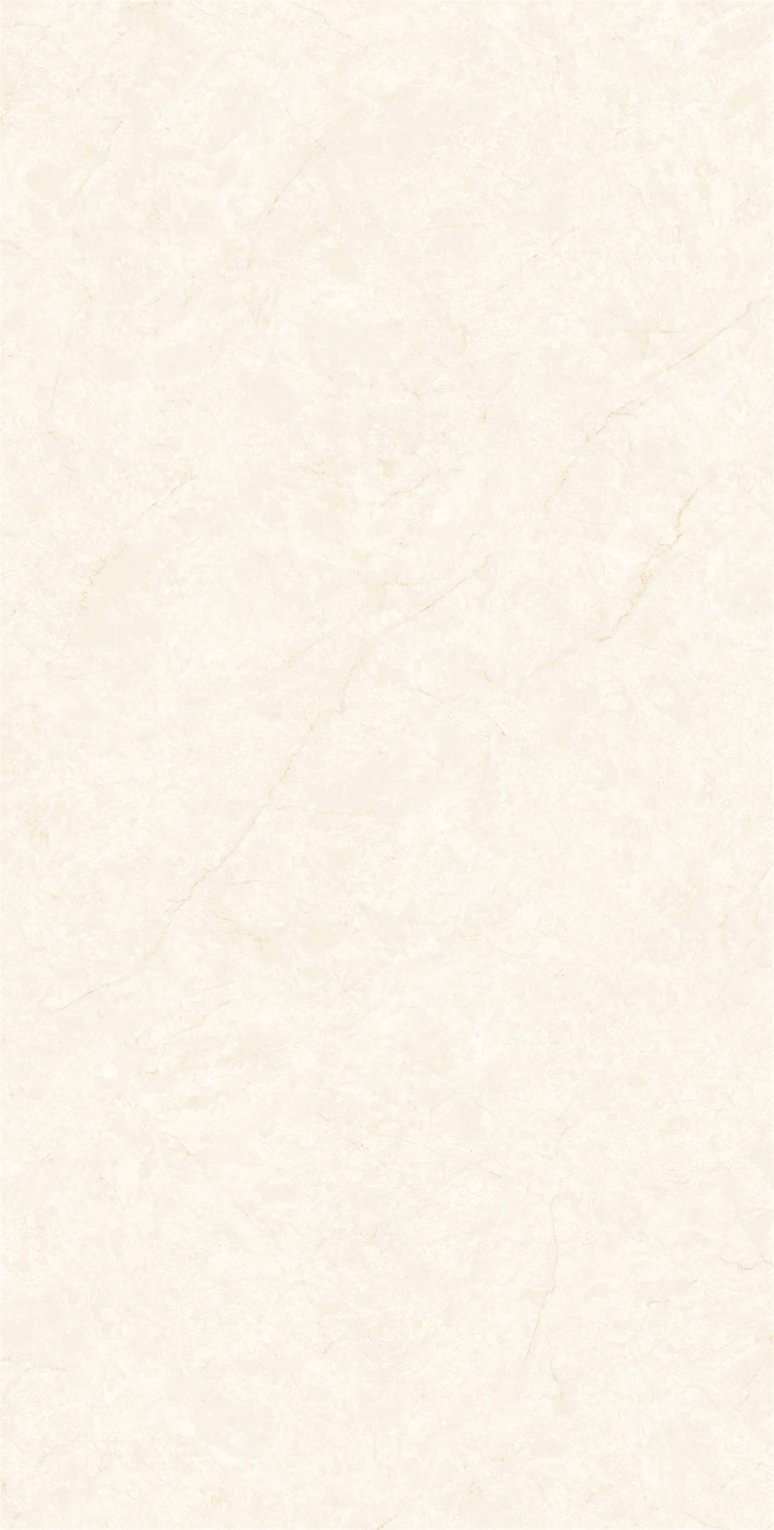 ZM157506_06