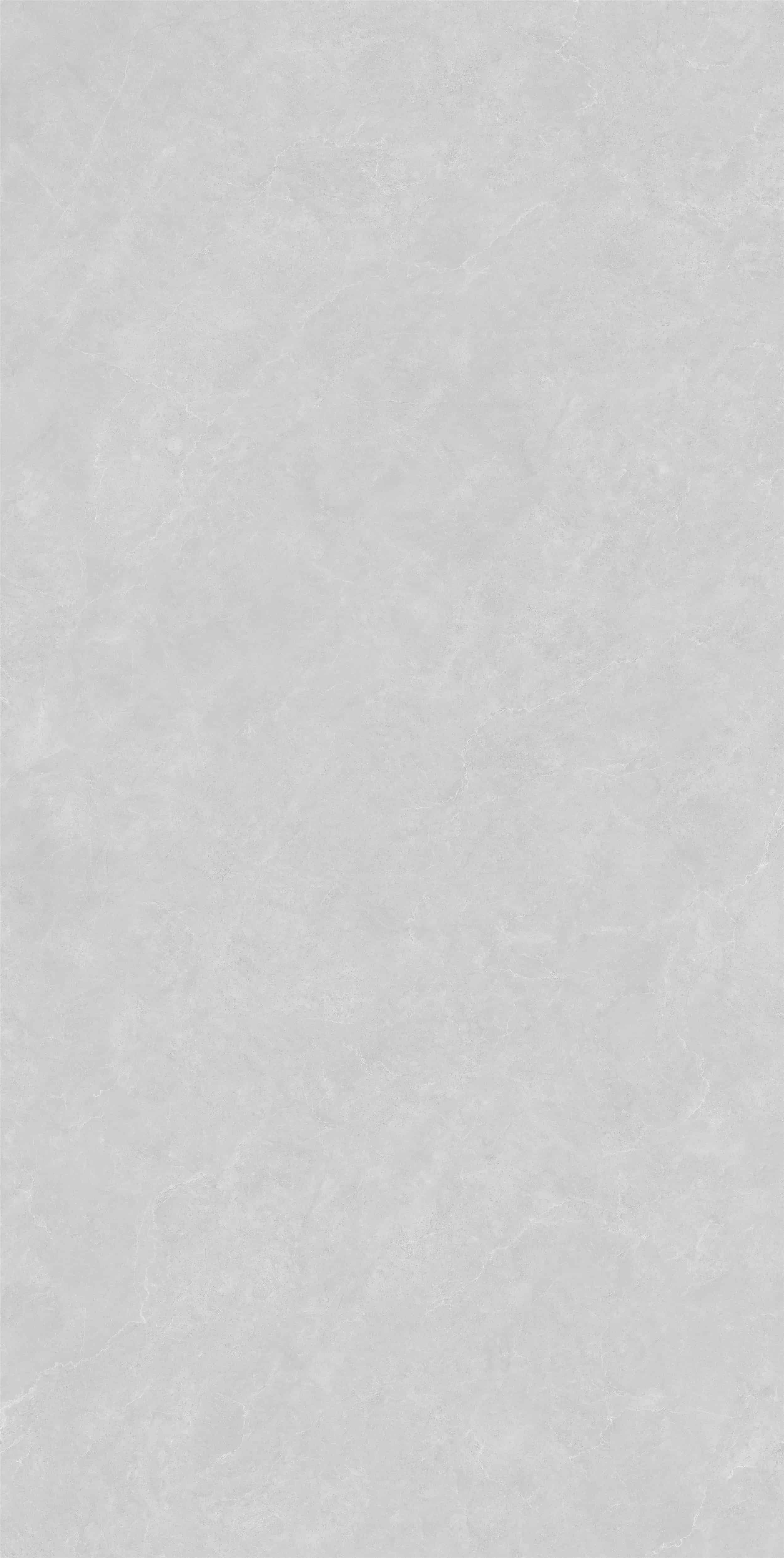 FV18940L_01