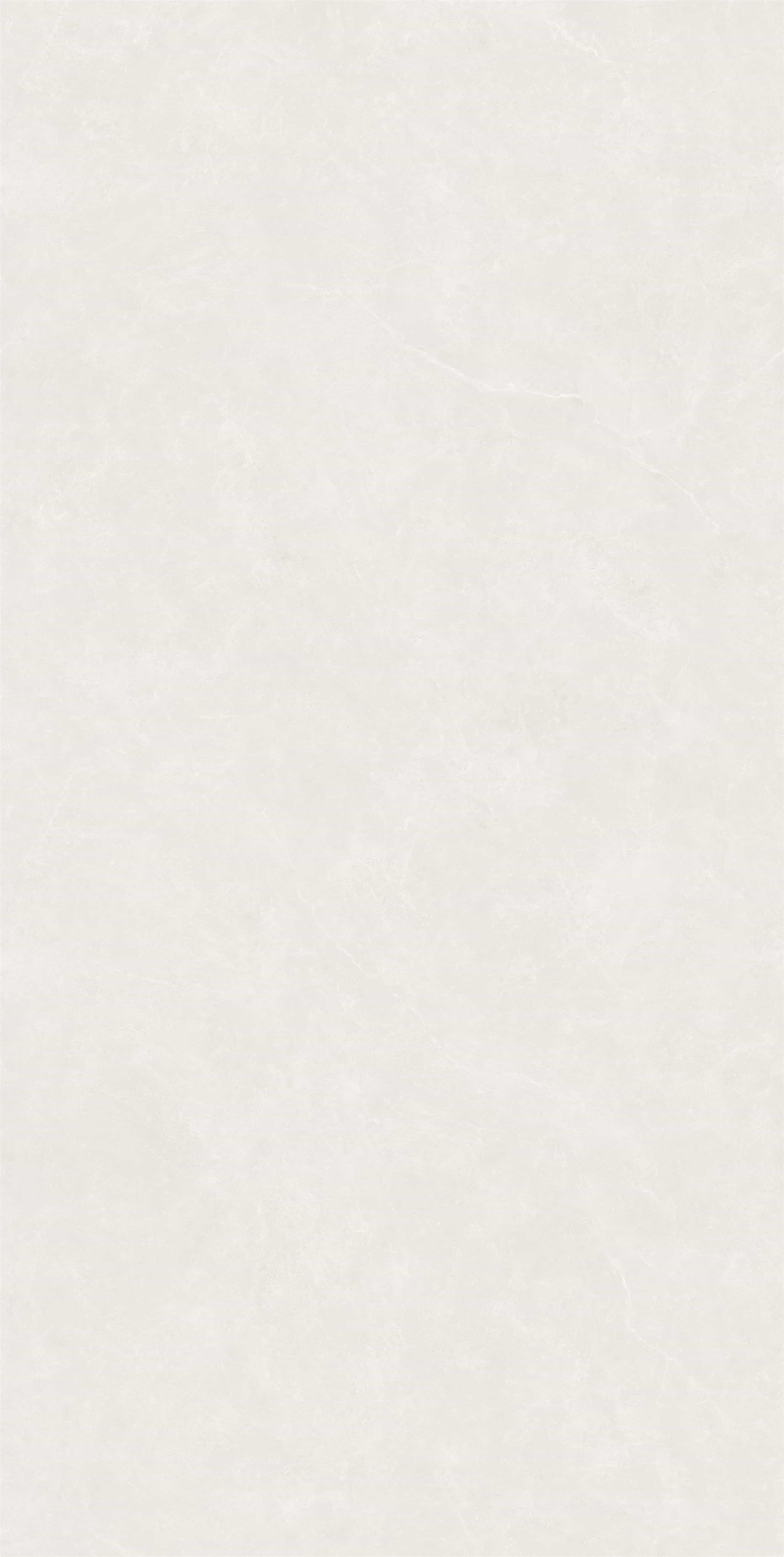 FV18941L_03