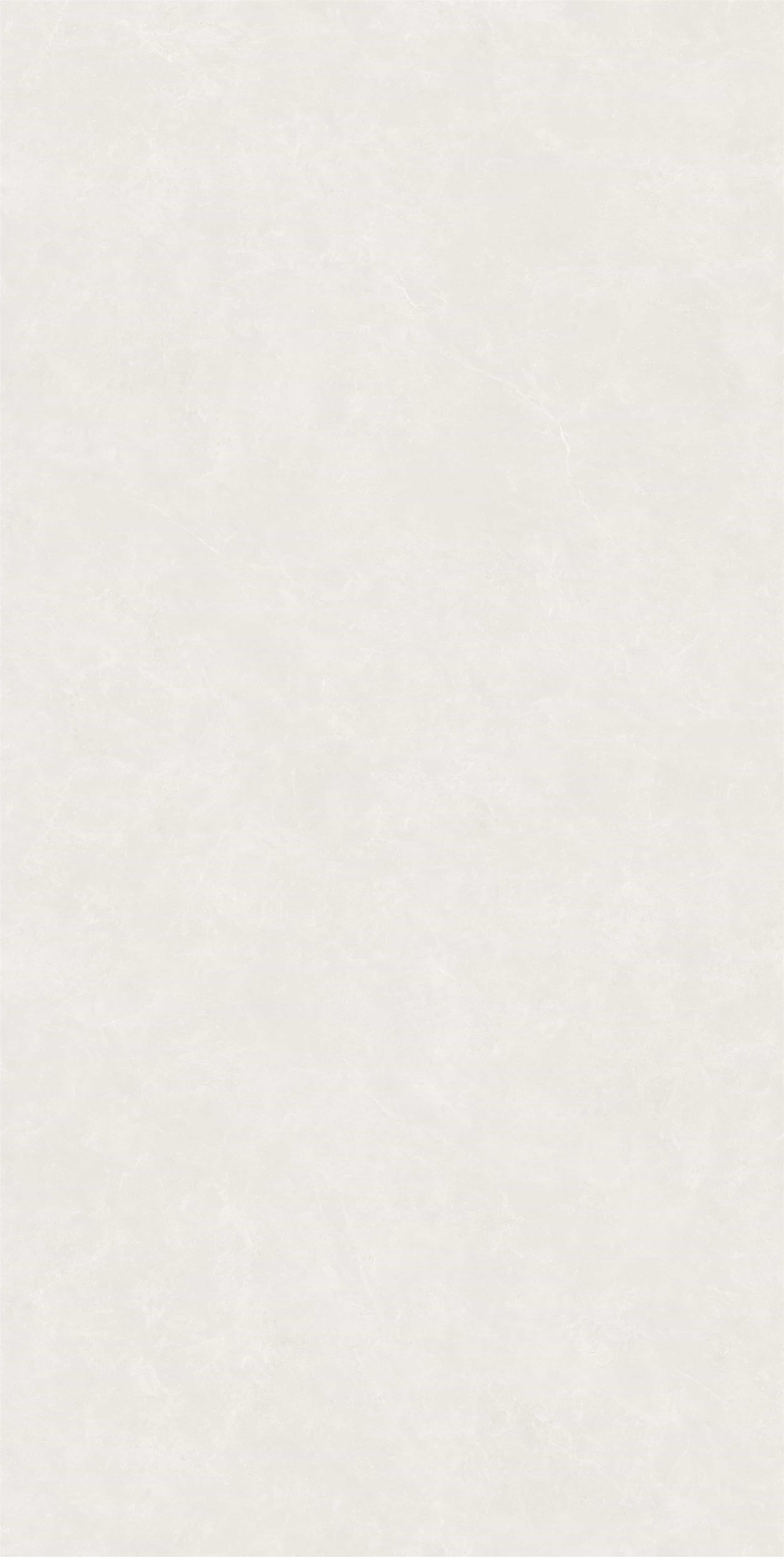 FV18941L_02