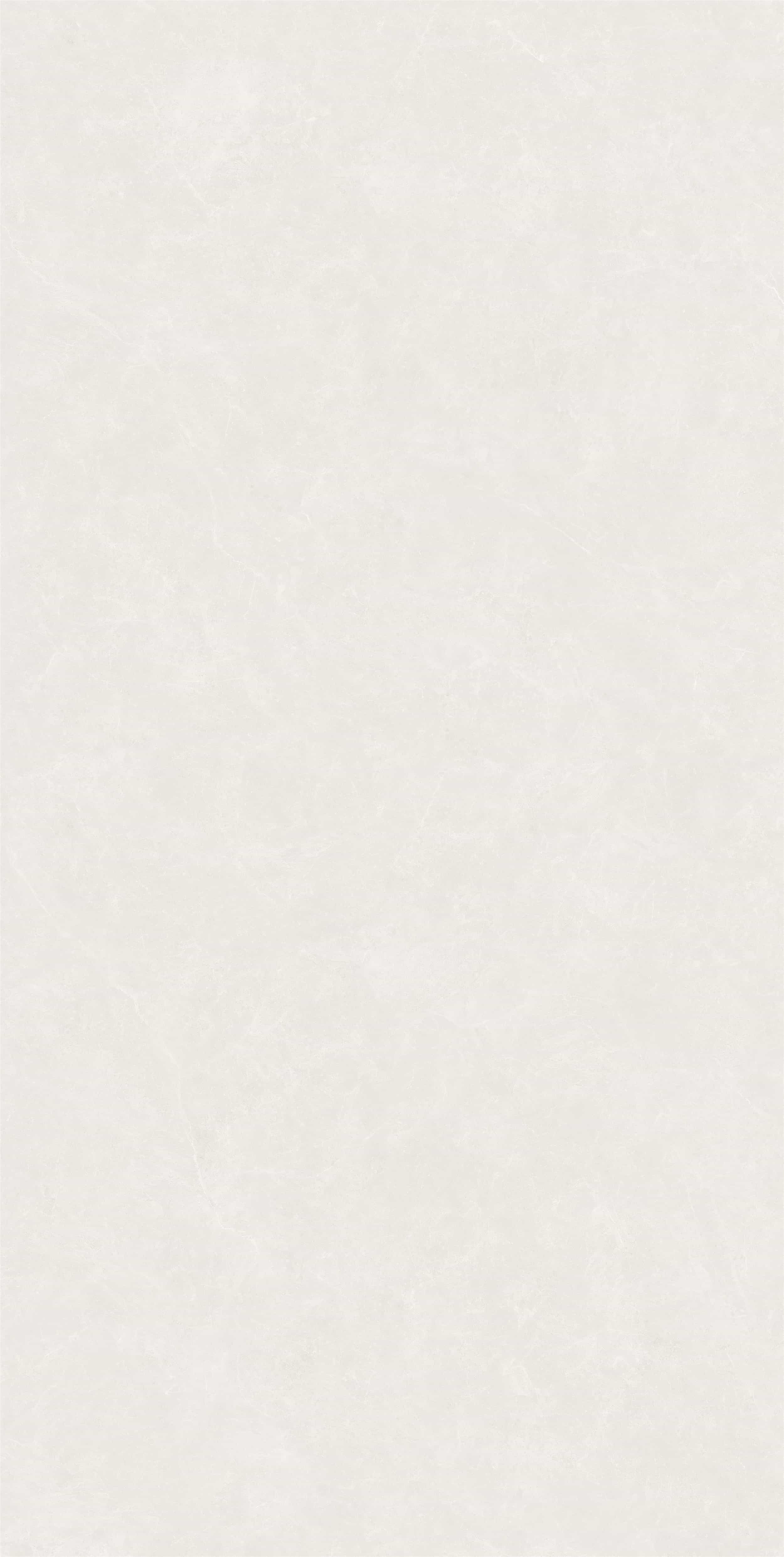 FV18941L_06