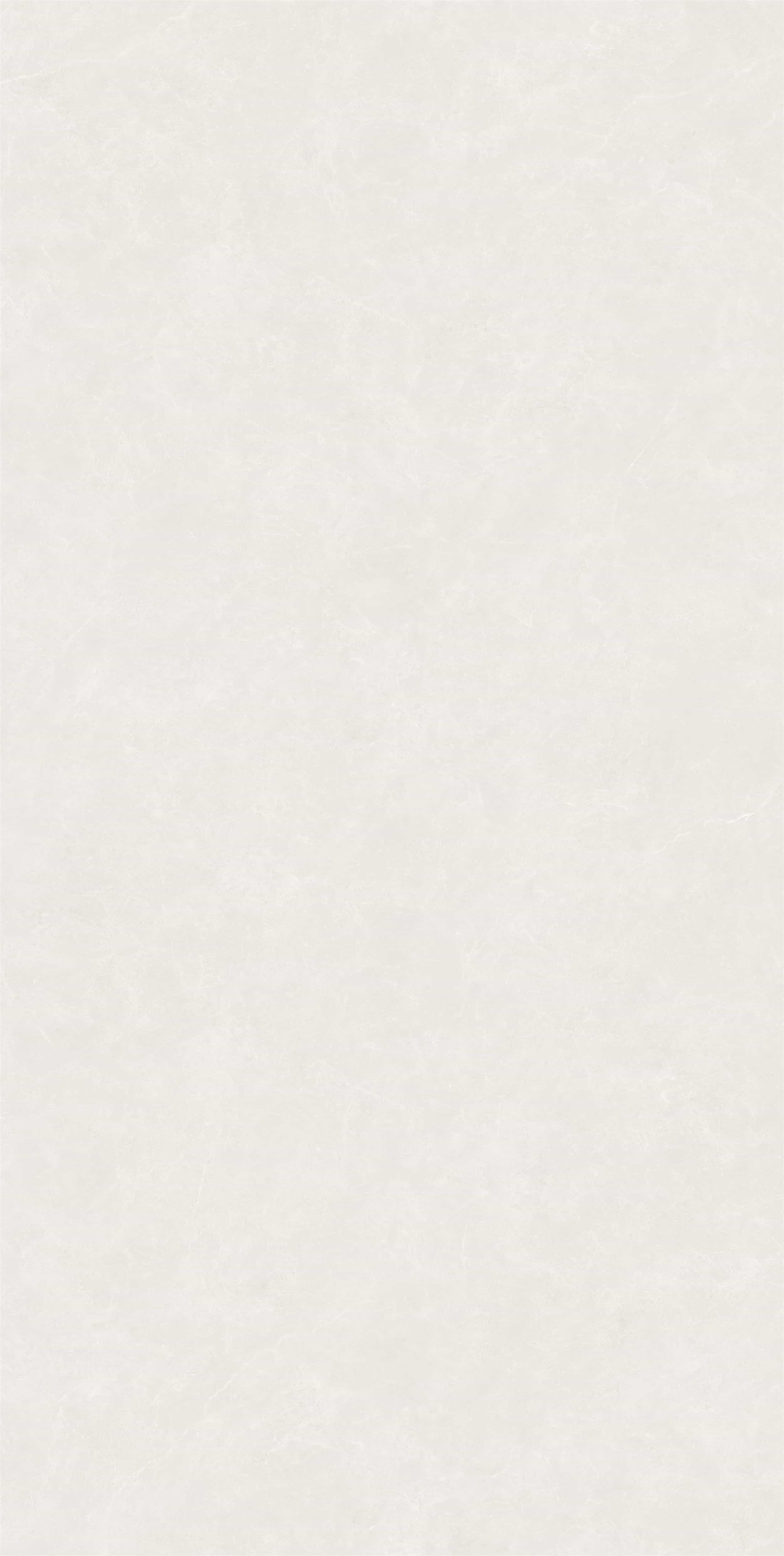 FV18941L_05