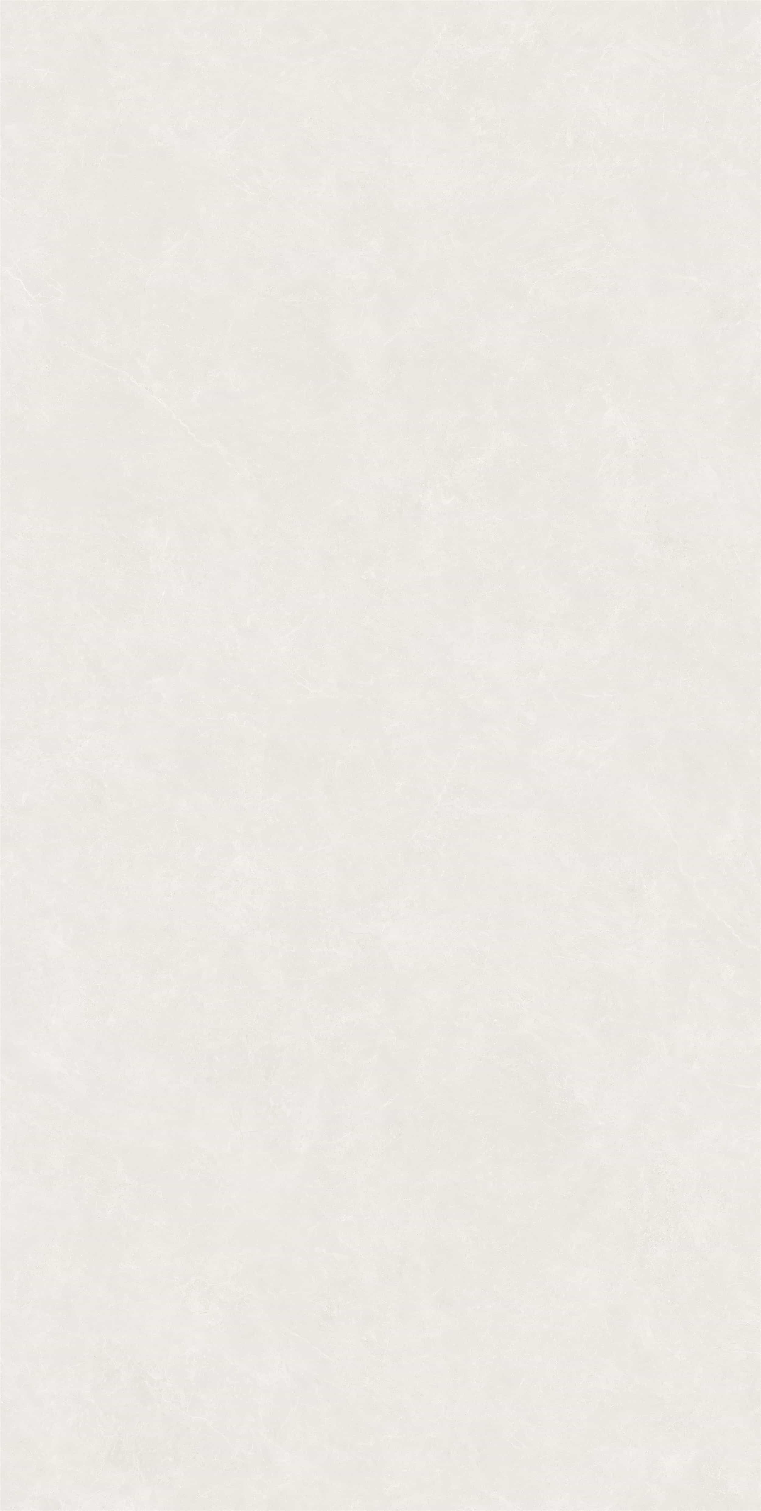 FV18941L_04