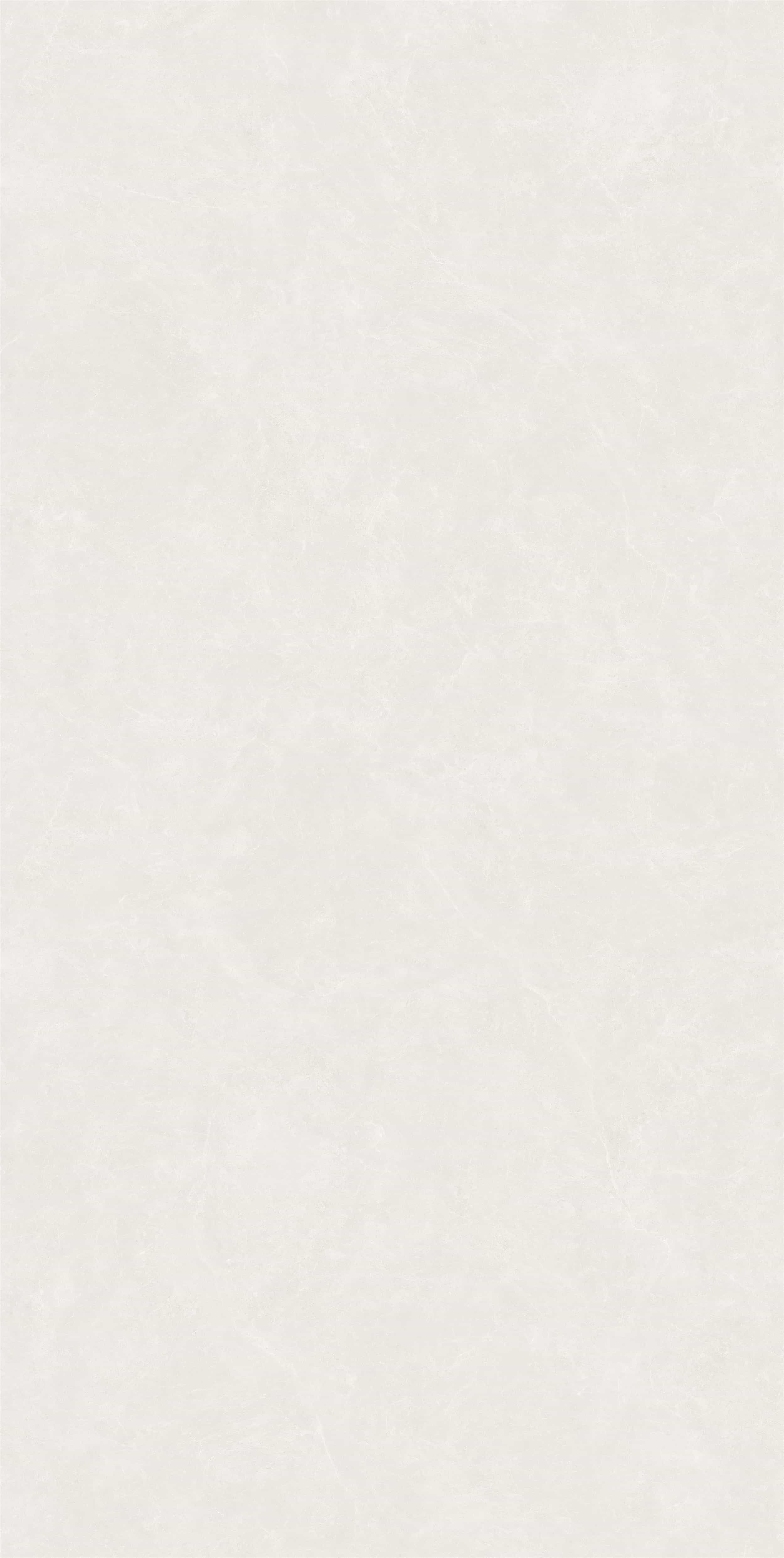 FV18941L_01