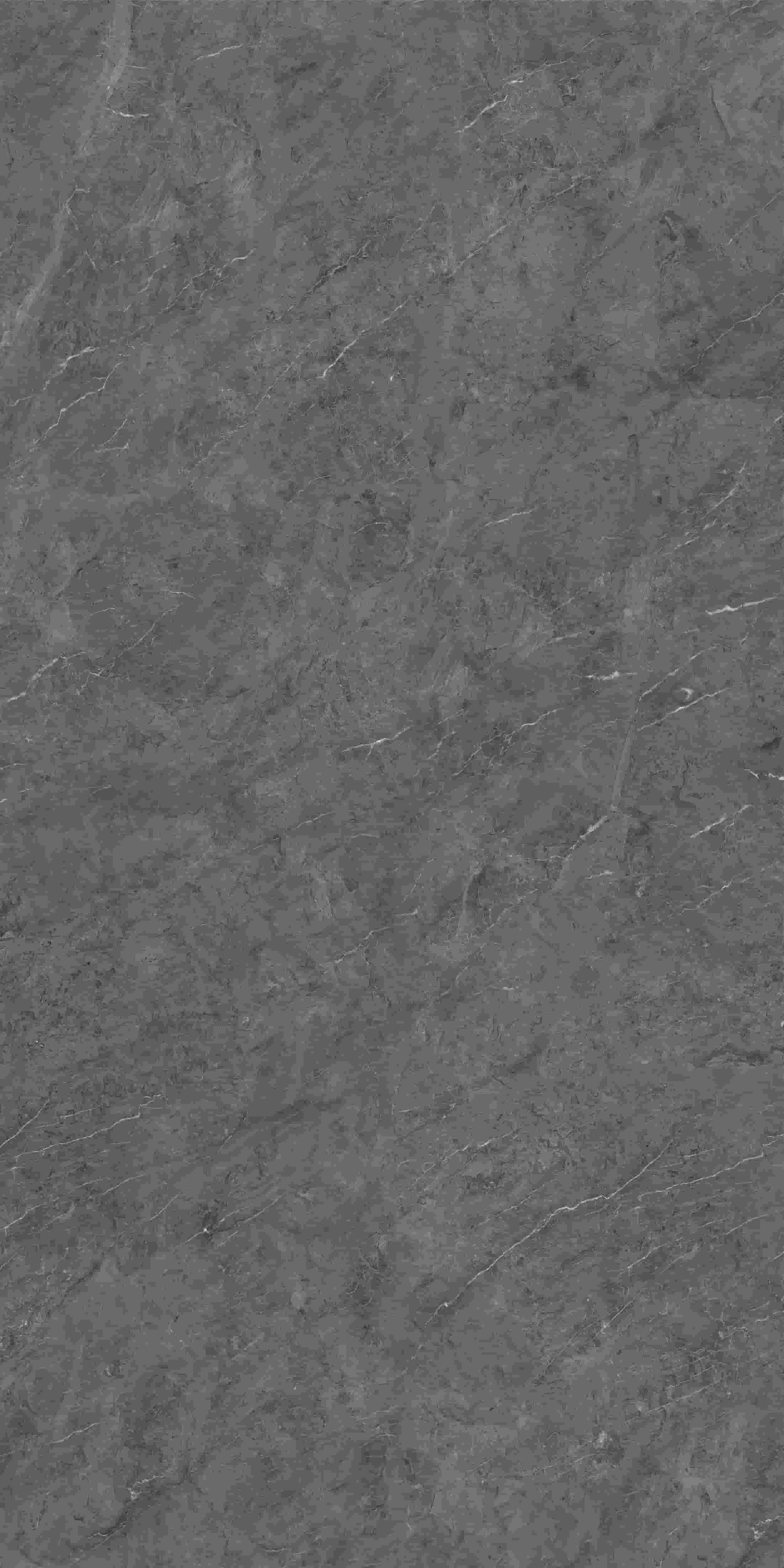 FV241217_03