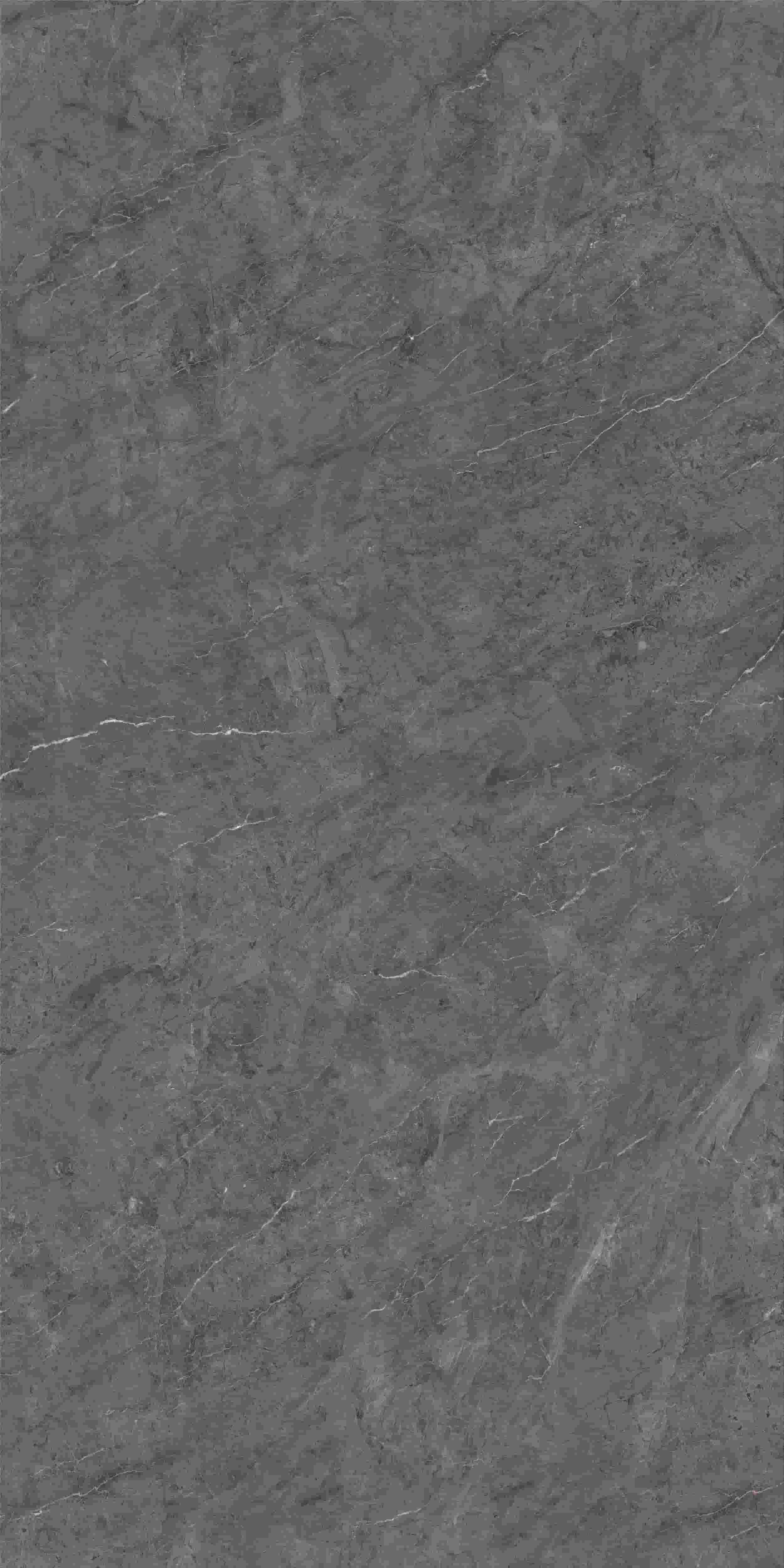FV241217_01