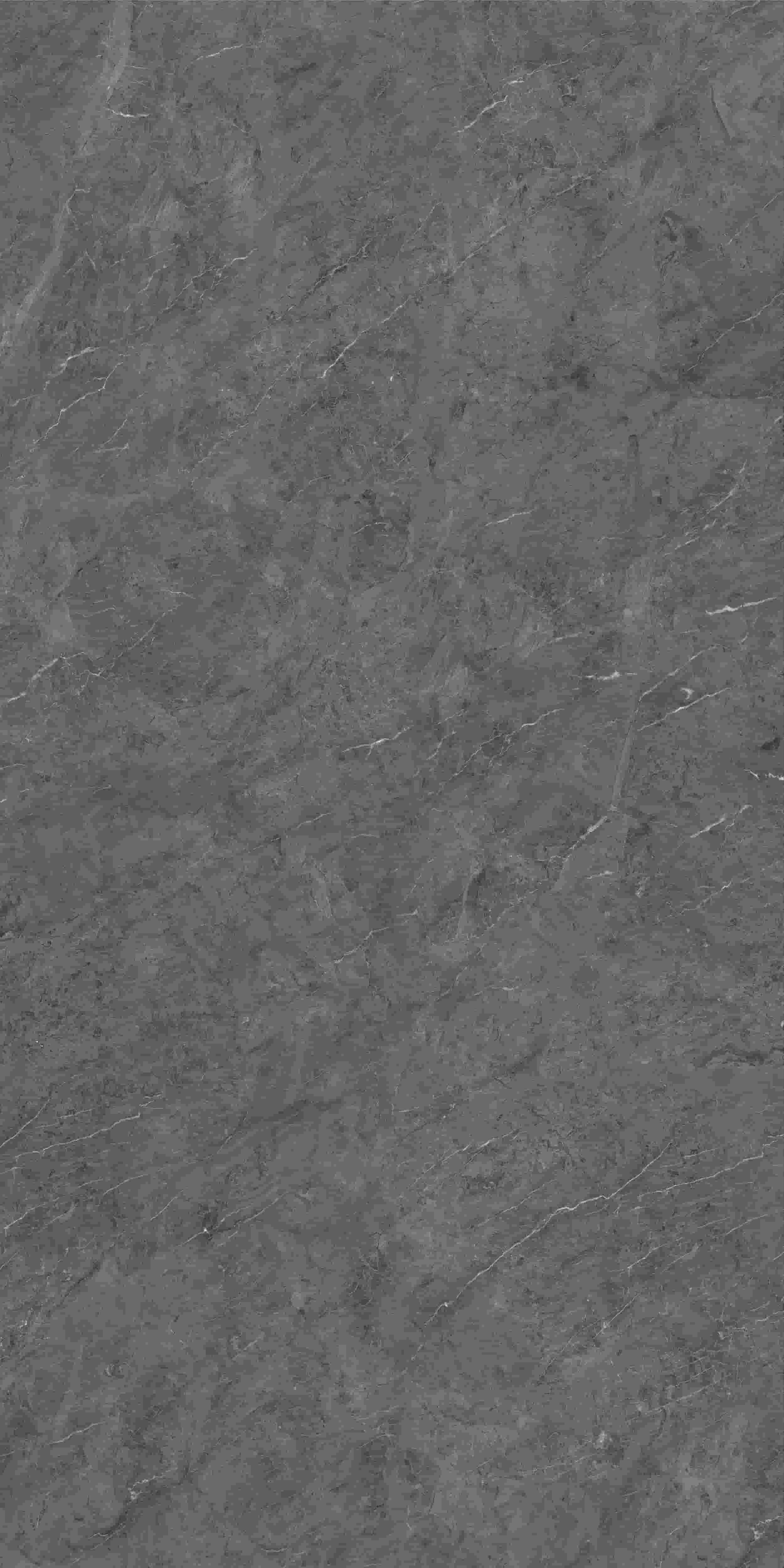 FV241217_02