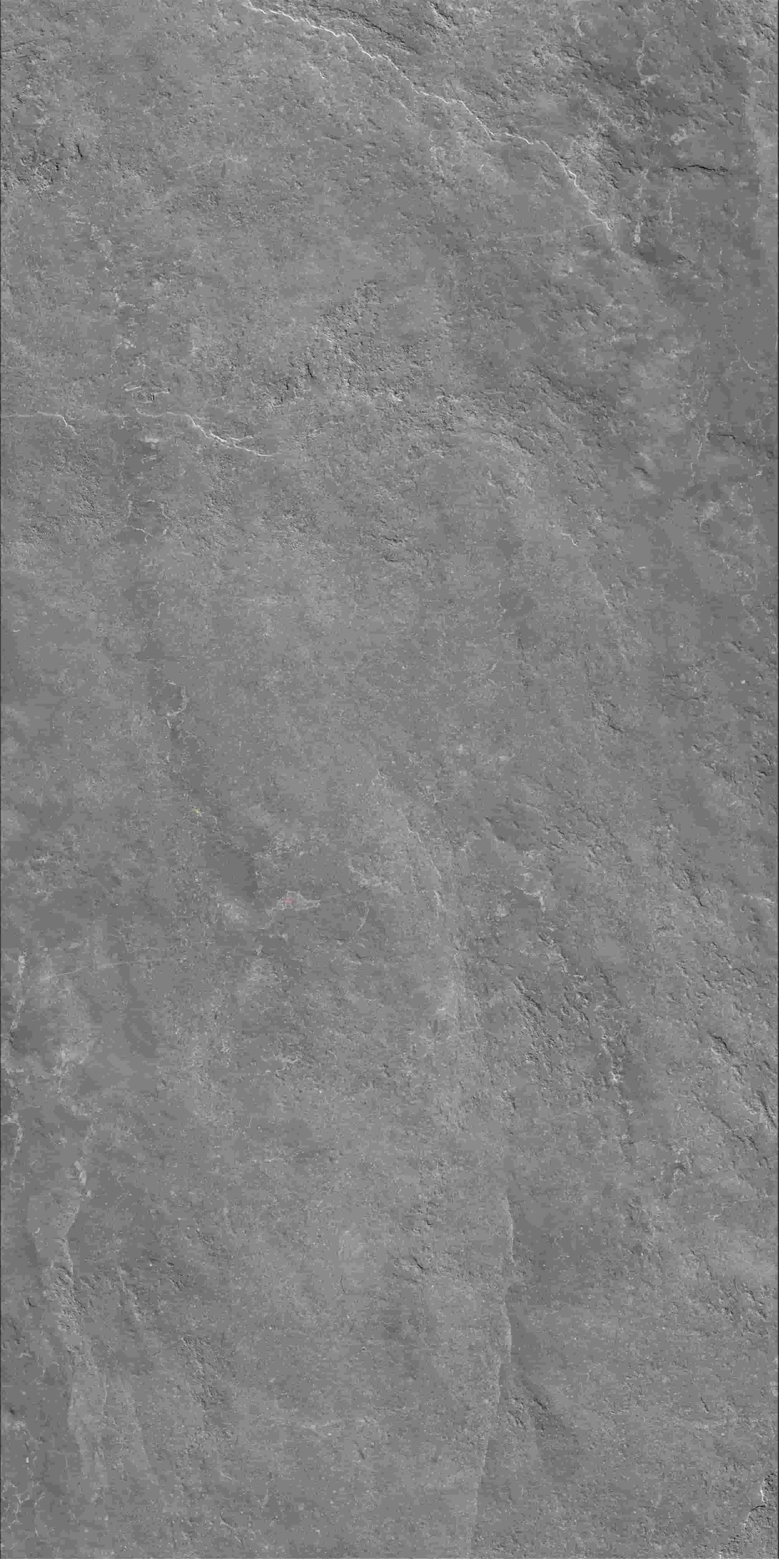 FV241218_03