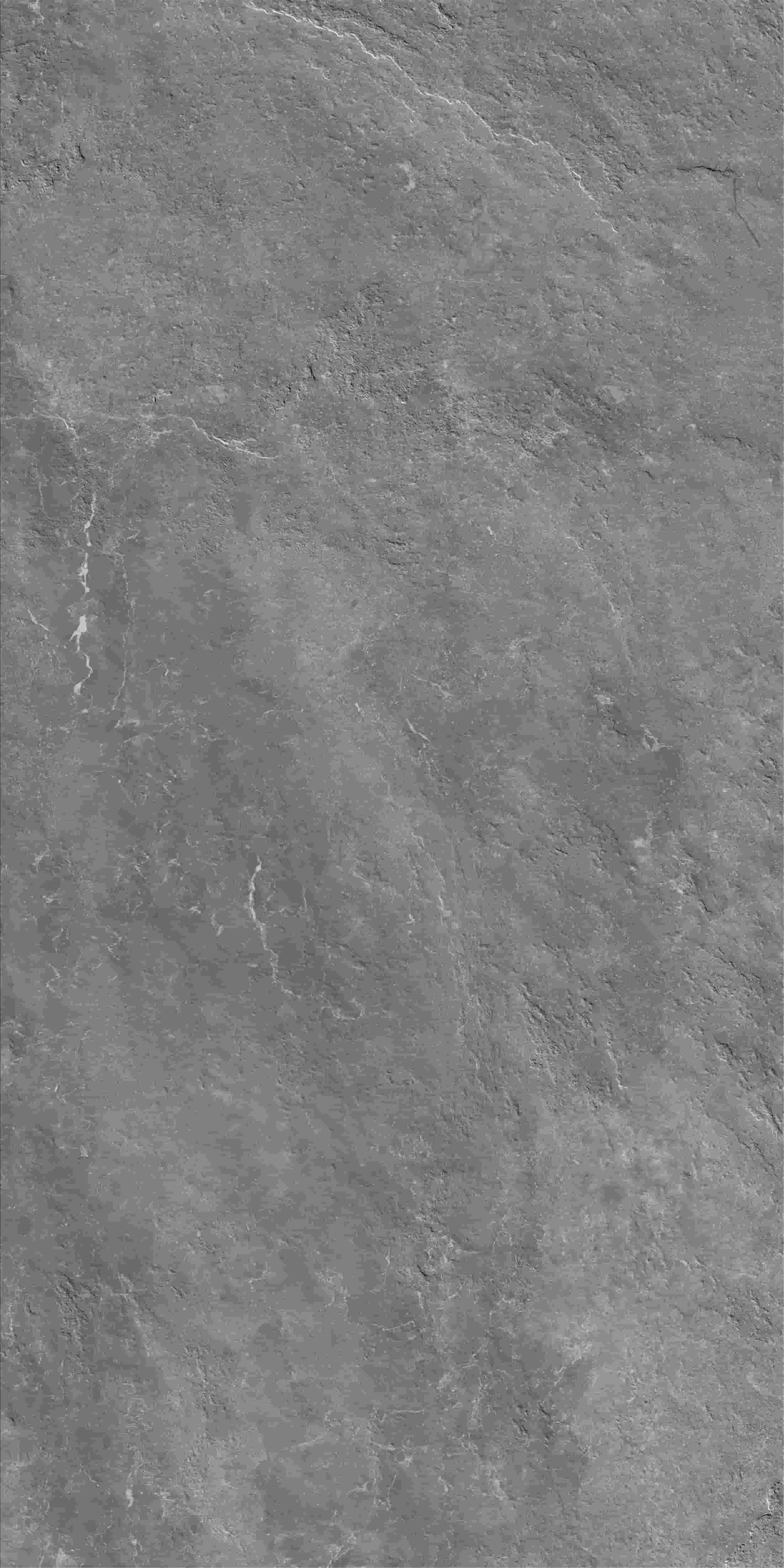 FV241218_04