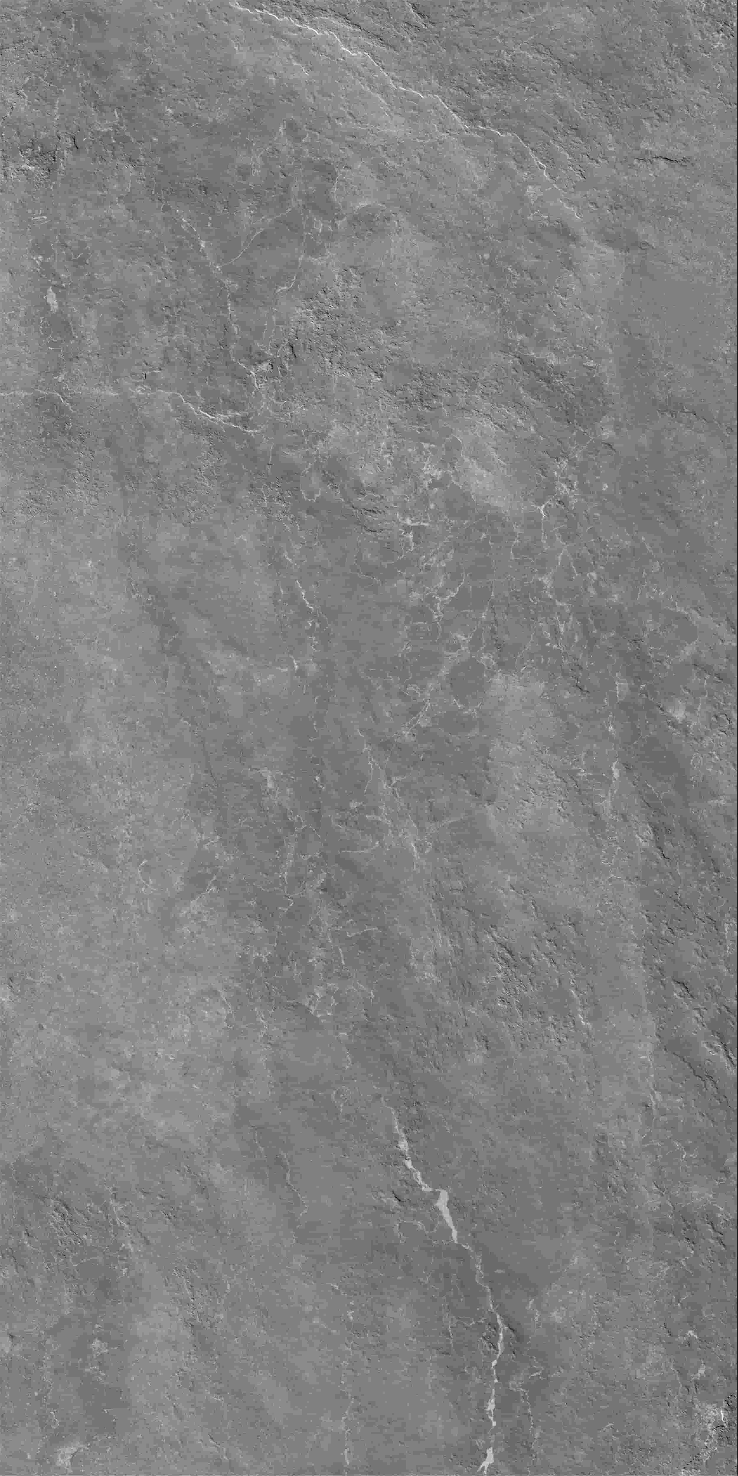 FV241218_01