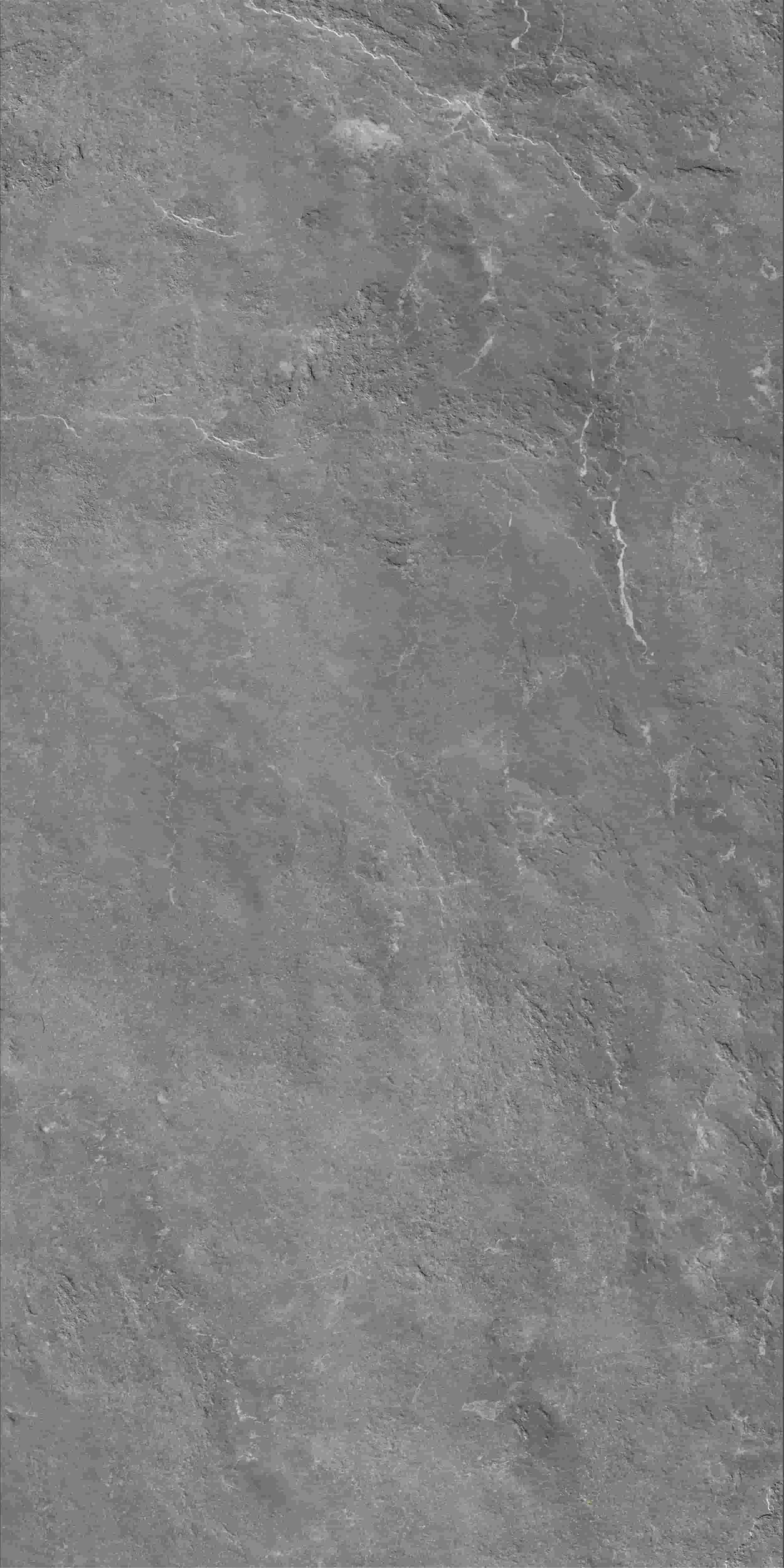 FV241218_02