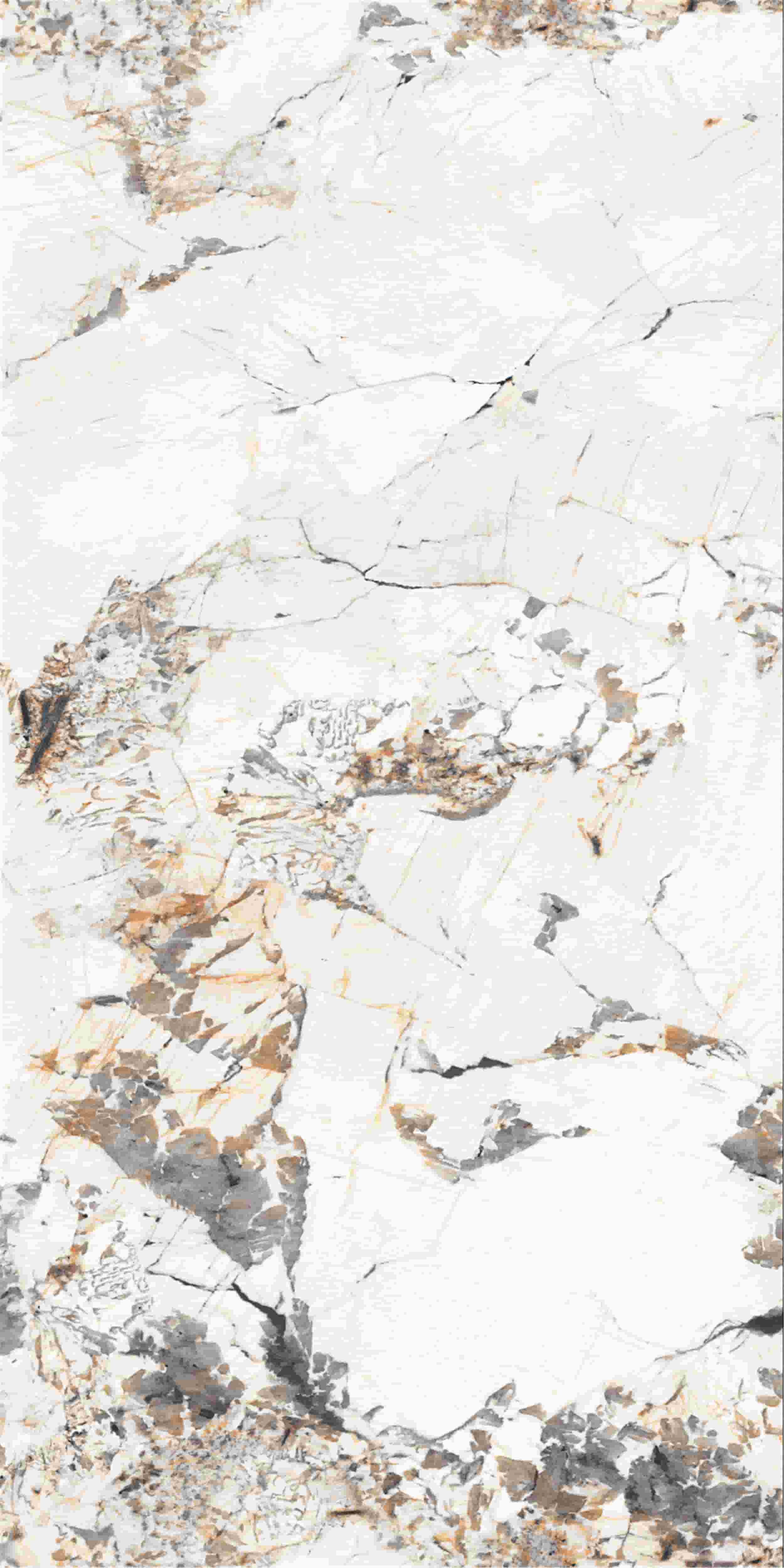 FV241219_01