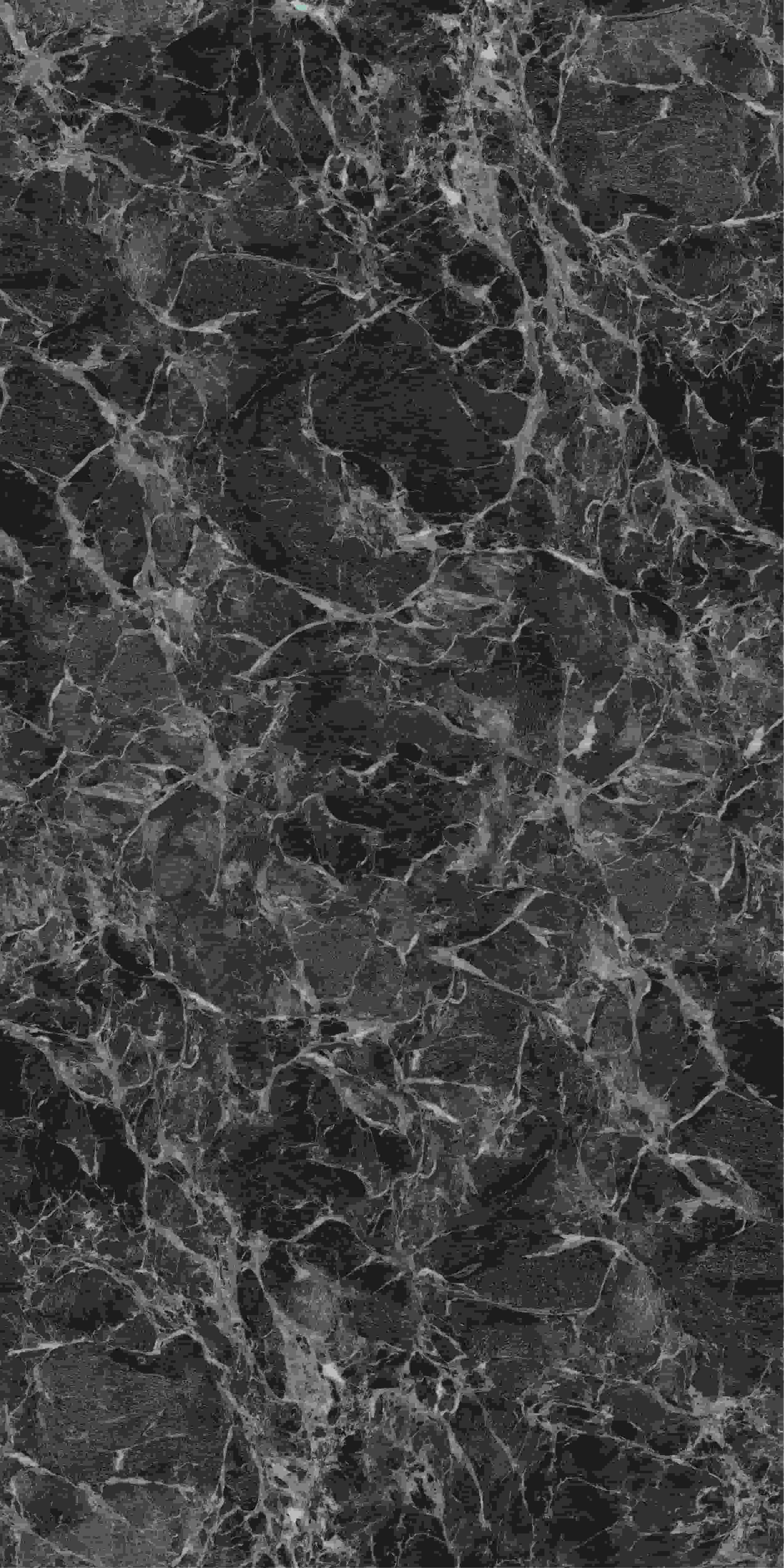 YB2781202_01