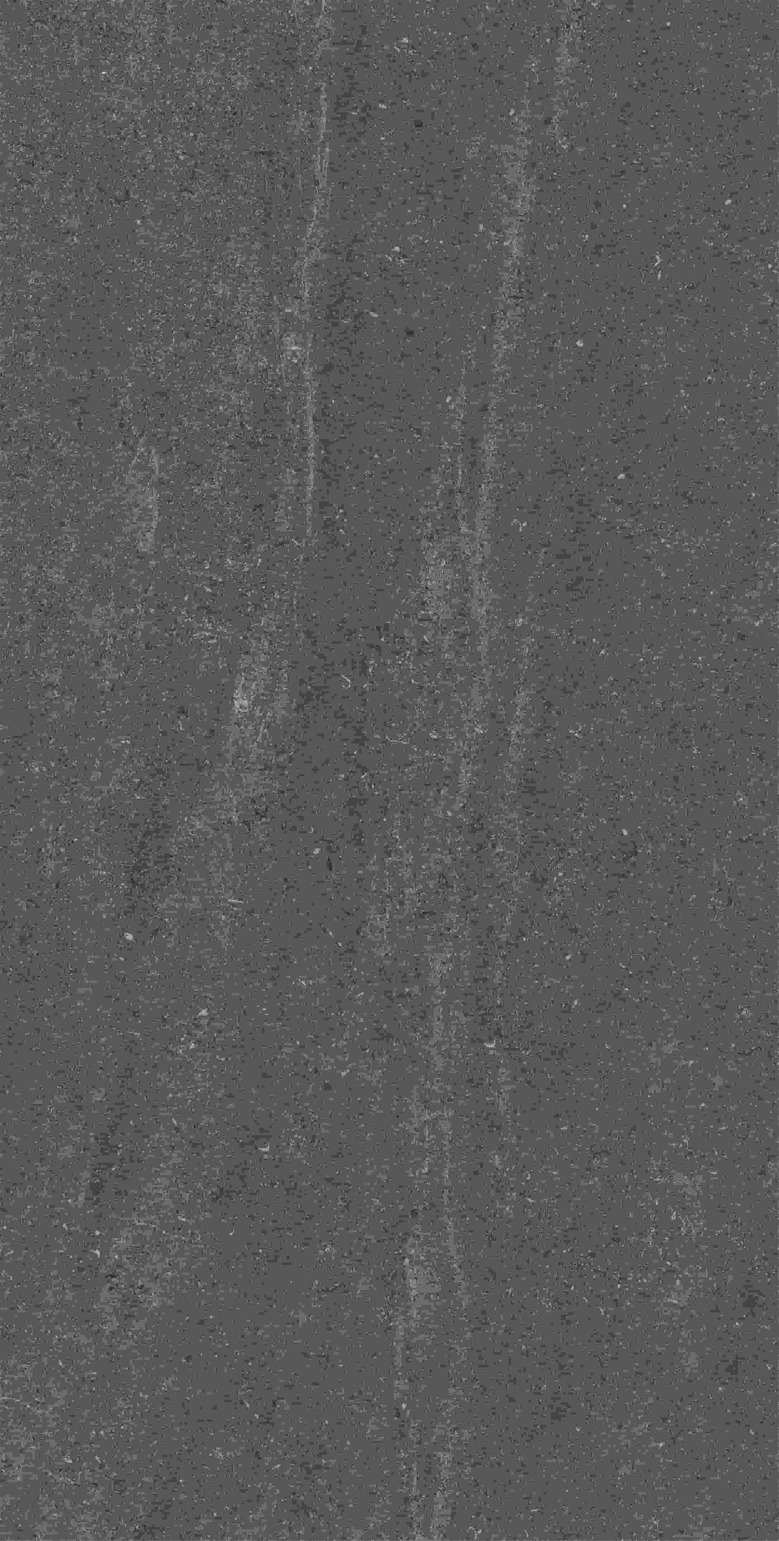 CVF157519_07