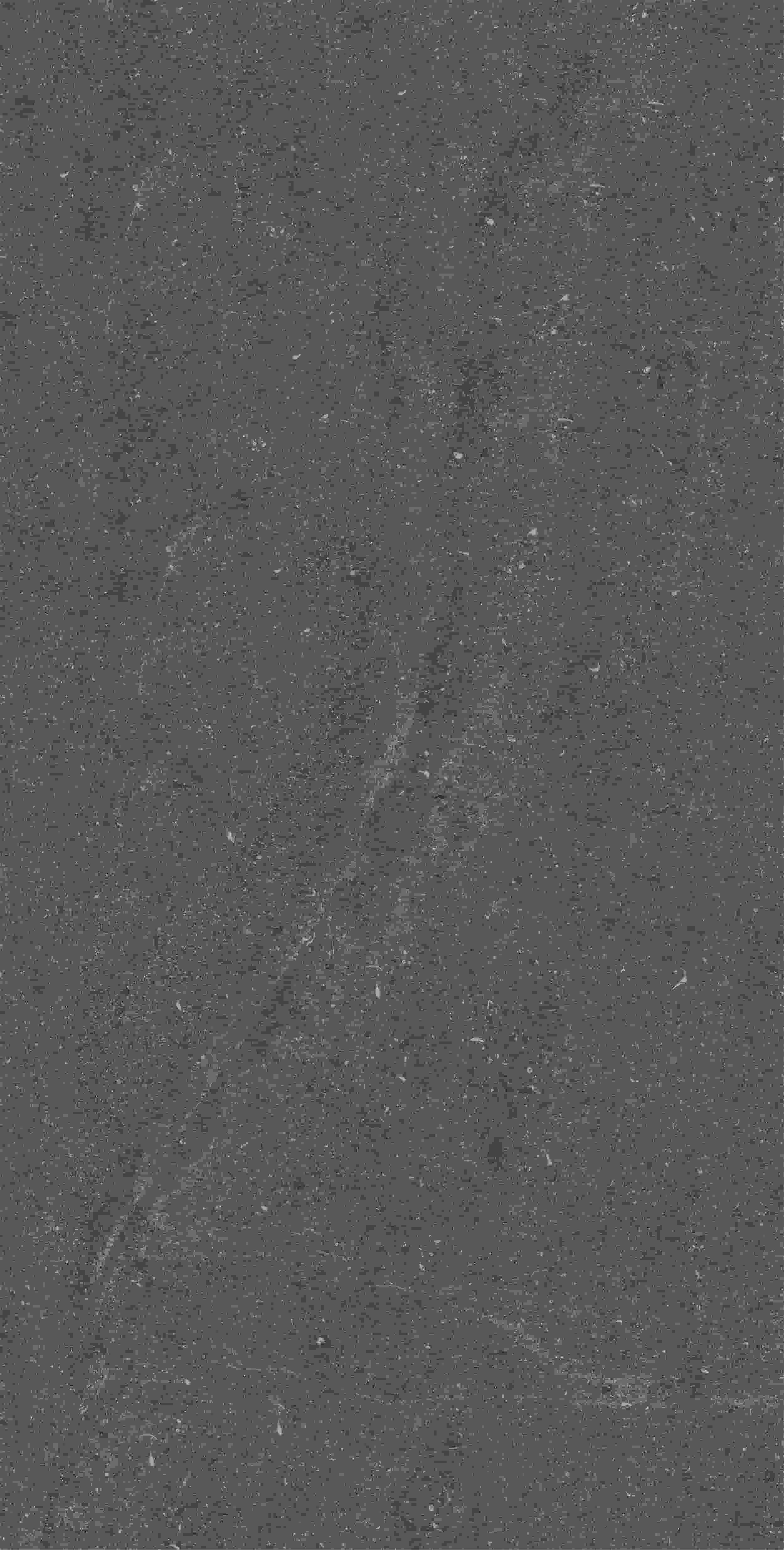 CVF157519_05