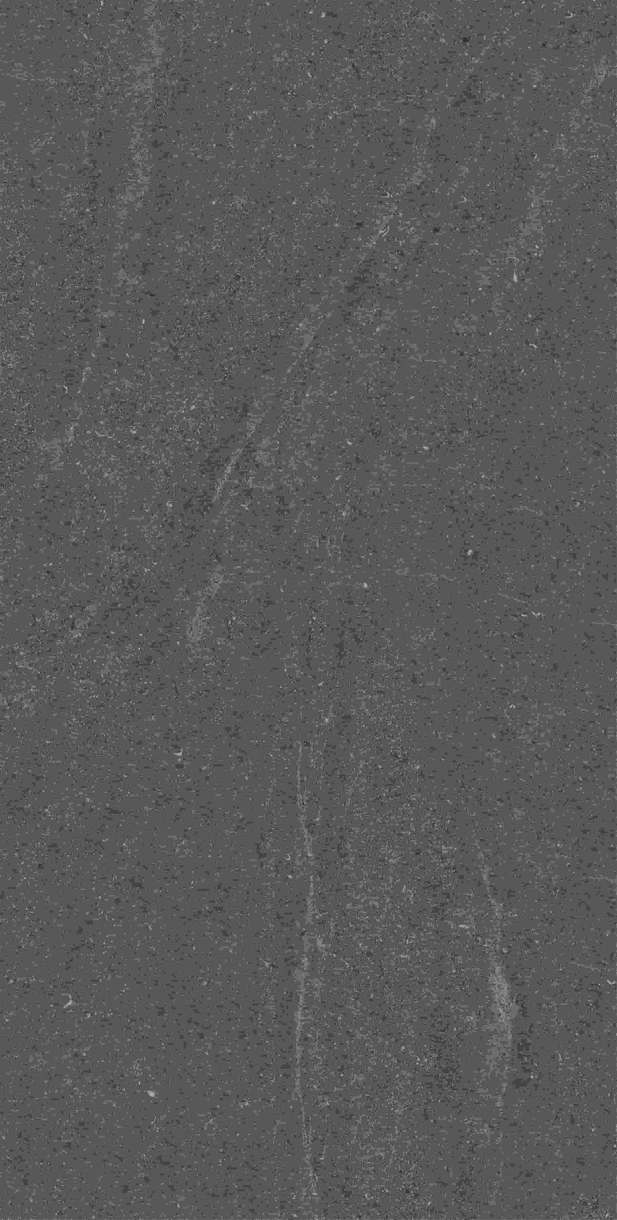 CVF157519_02