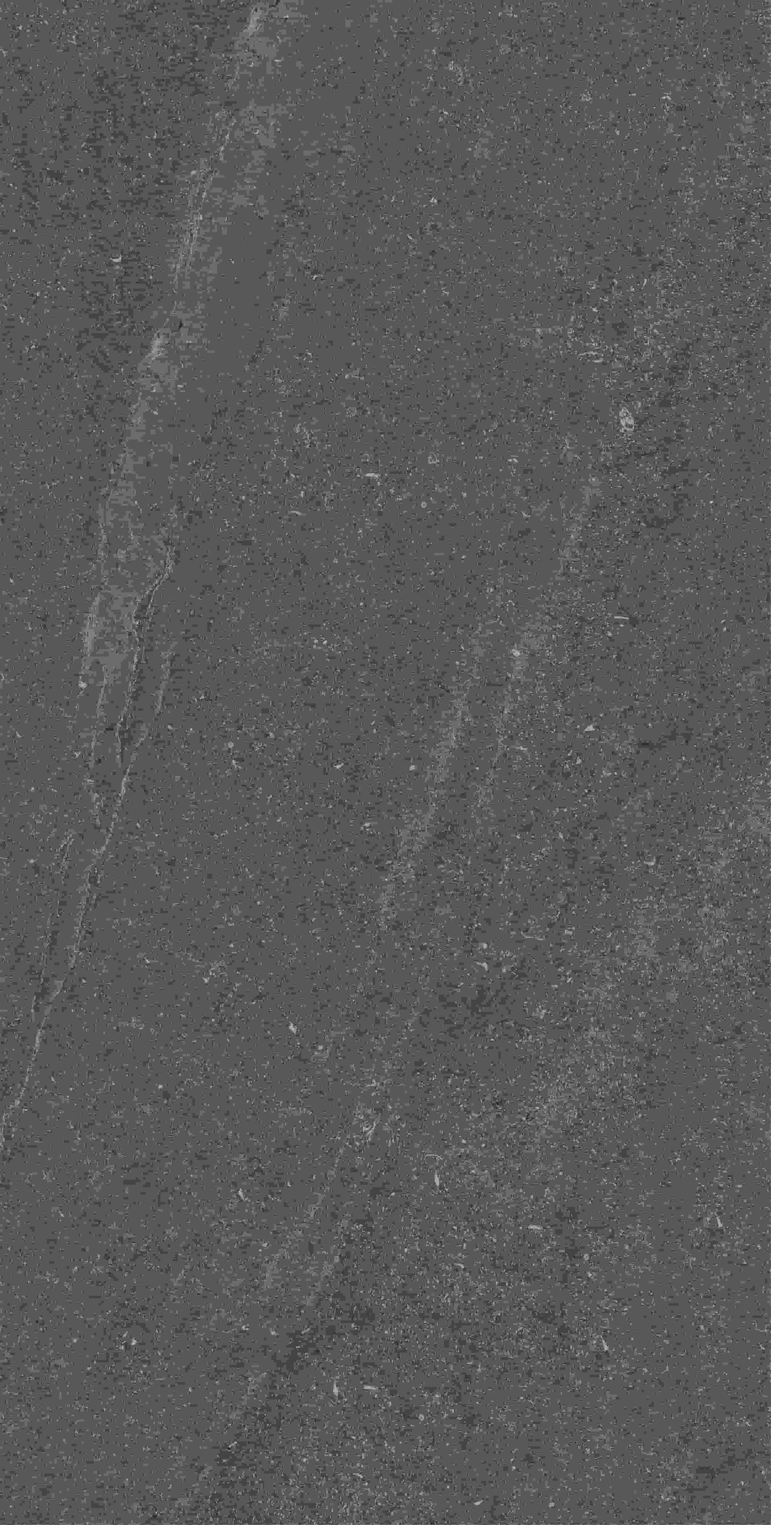 CVF157519_03