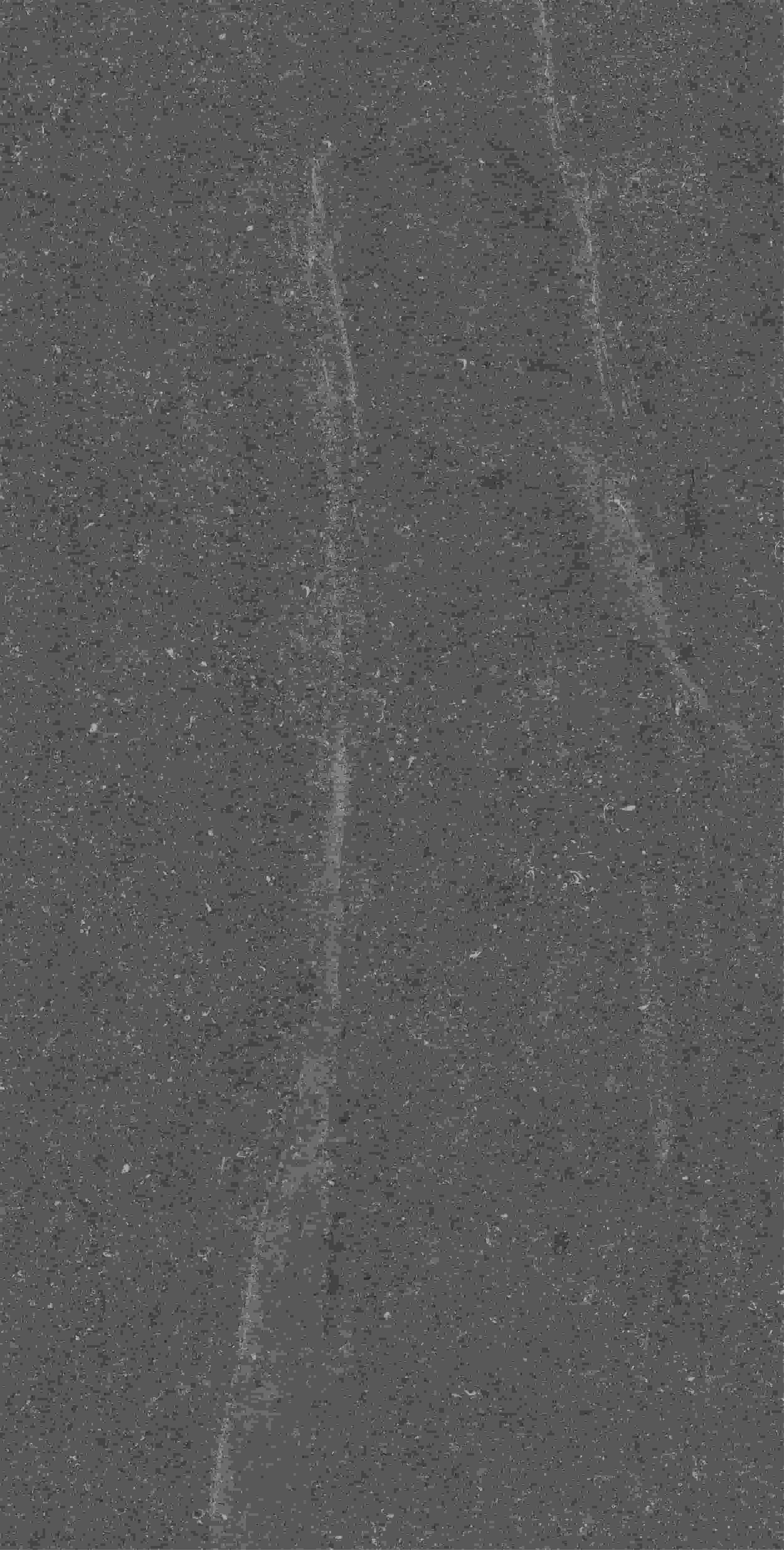 CVF157519_06