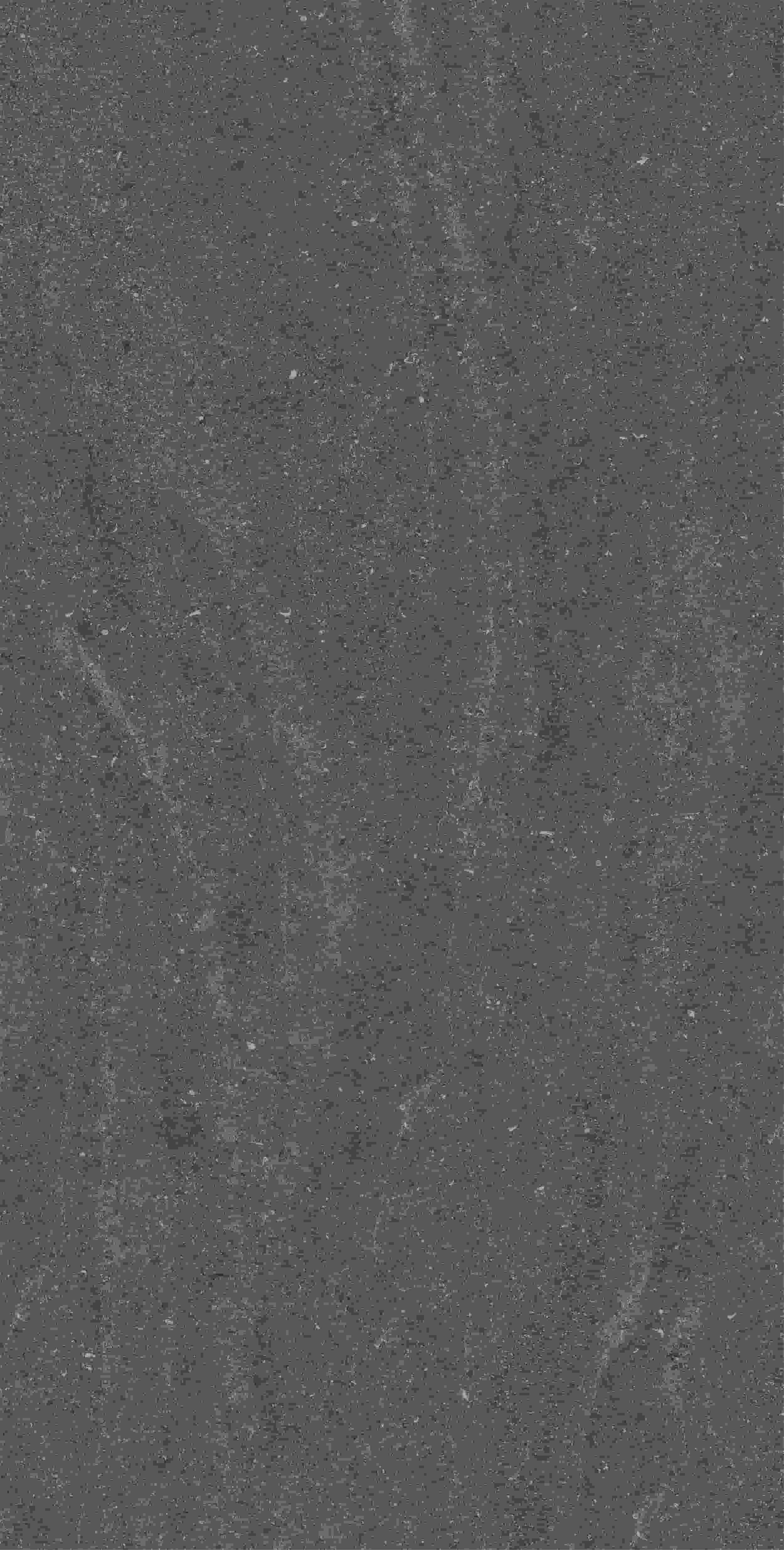 CVF157519_08